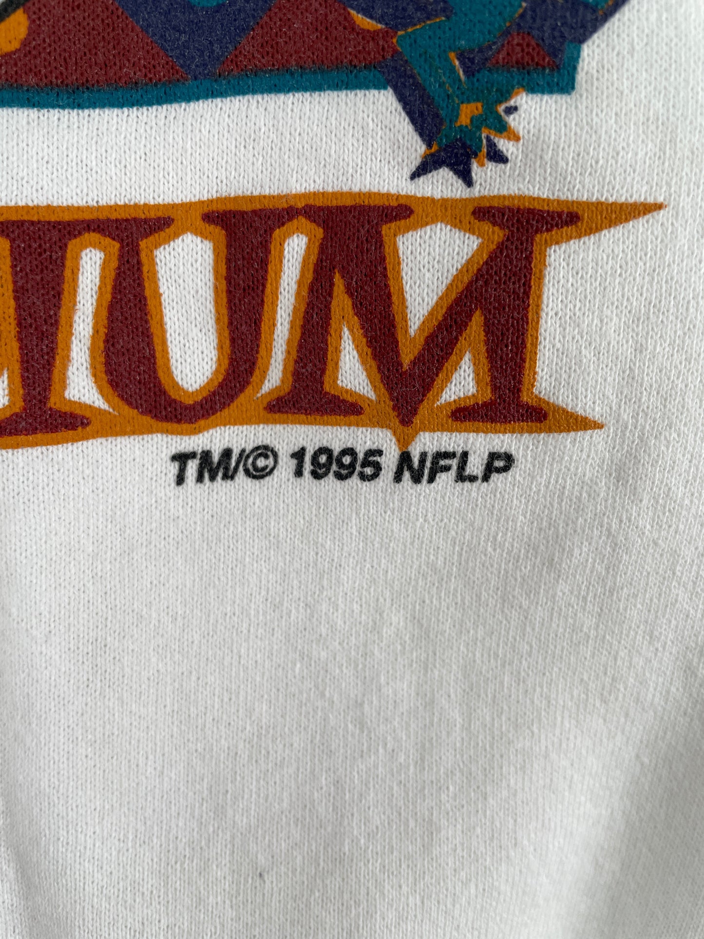 1995 SUPER BOWL Size XL Vintage NFL Sweat-Shirt / F5872S