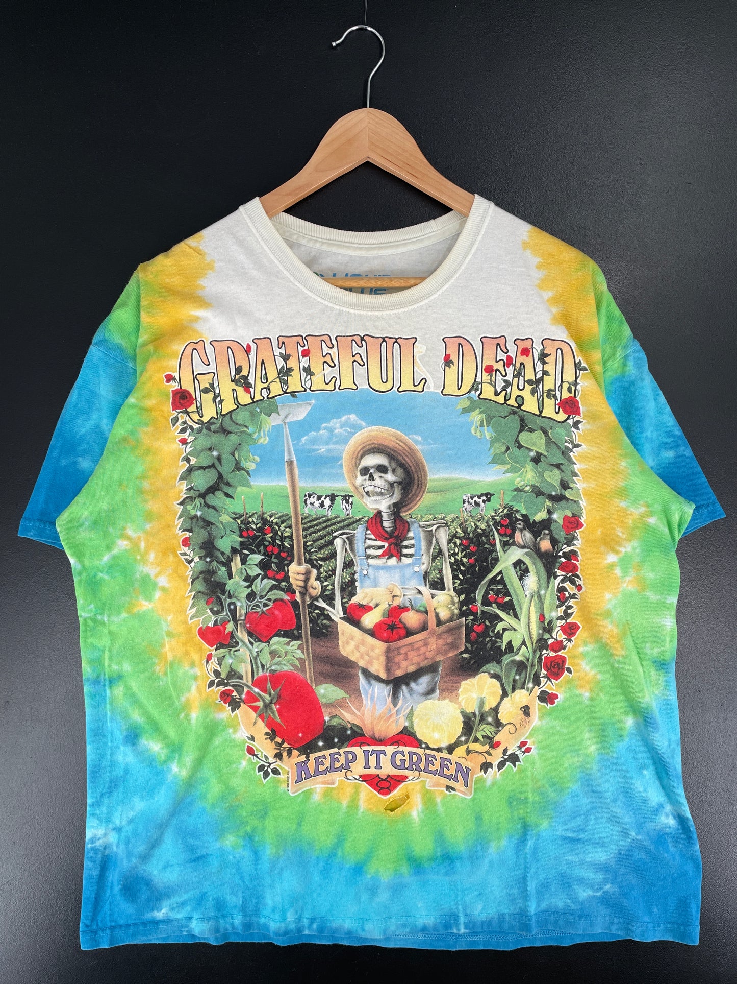 Vintage LIQUID BLUE x GRATEFUL DEAD Size XL Vintage Music T-shirt / E7036T