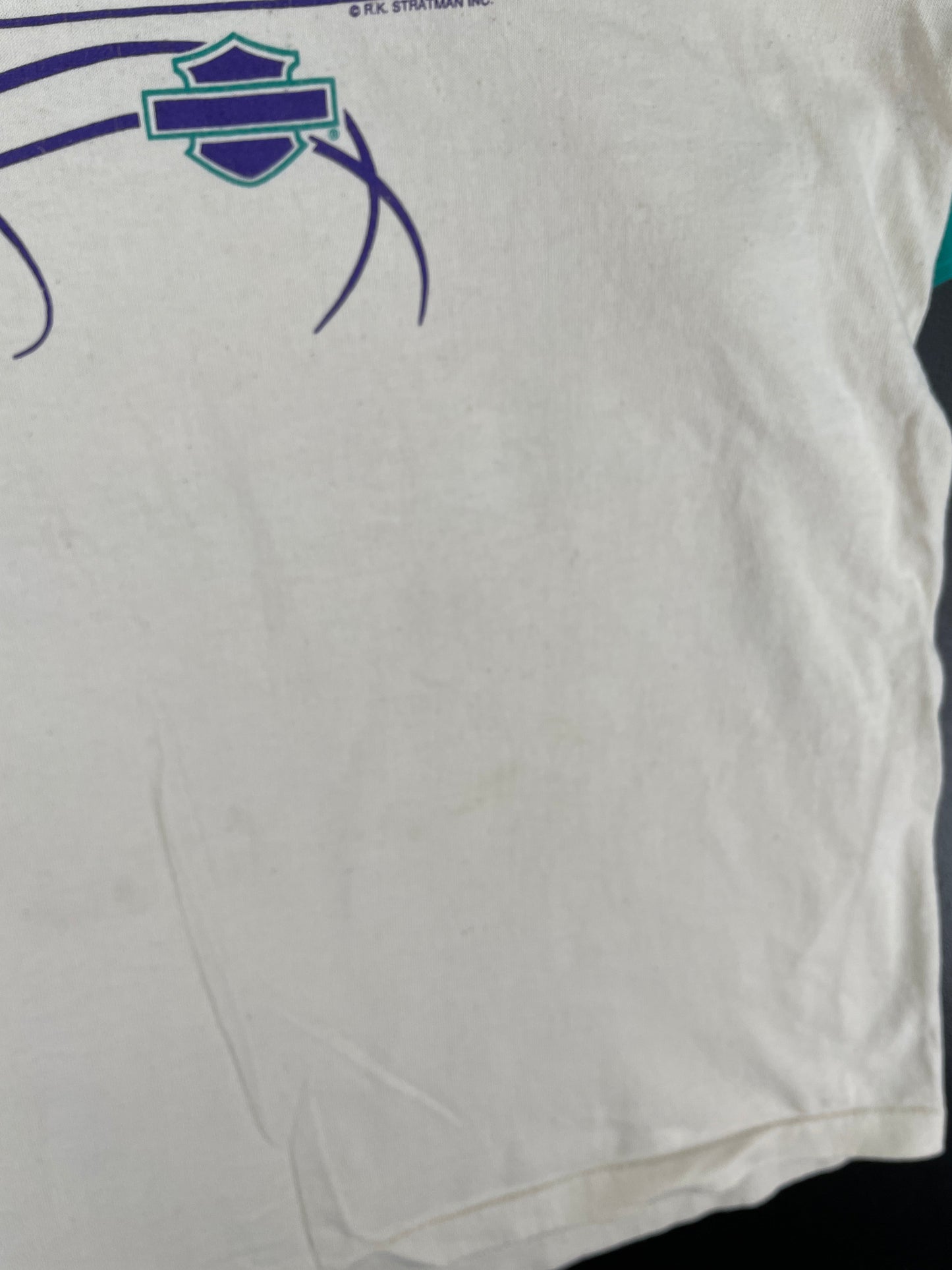 90's HARLEY DAVIDSON GREENVILLE Made in USA Size L Vintage T-Shirts / F1815T