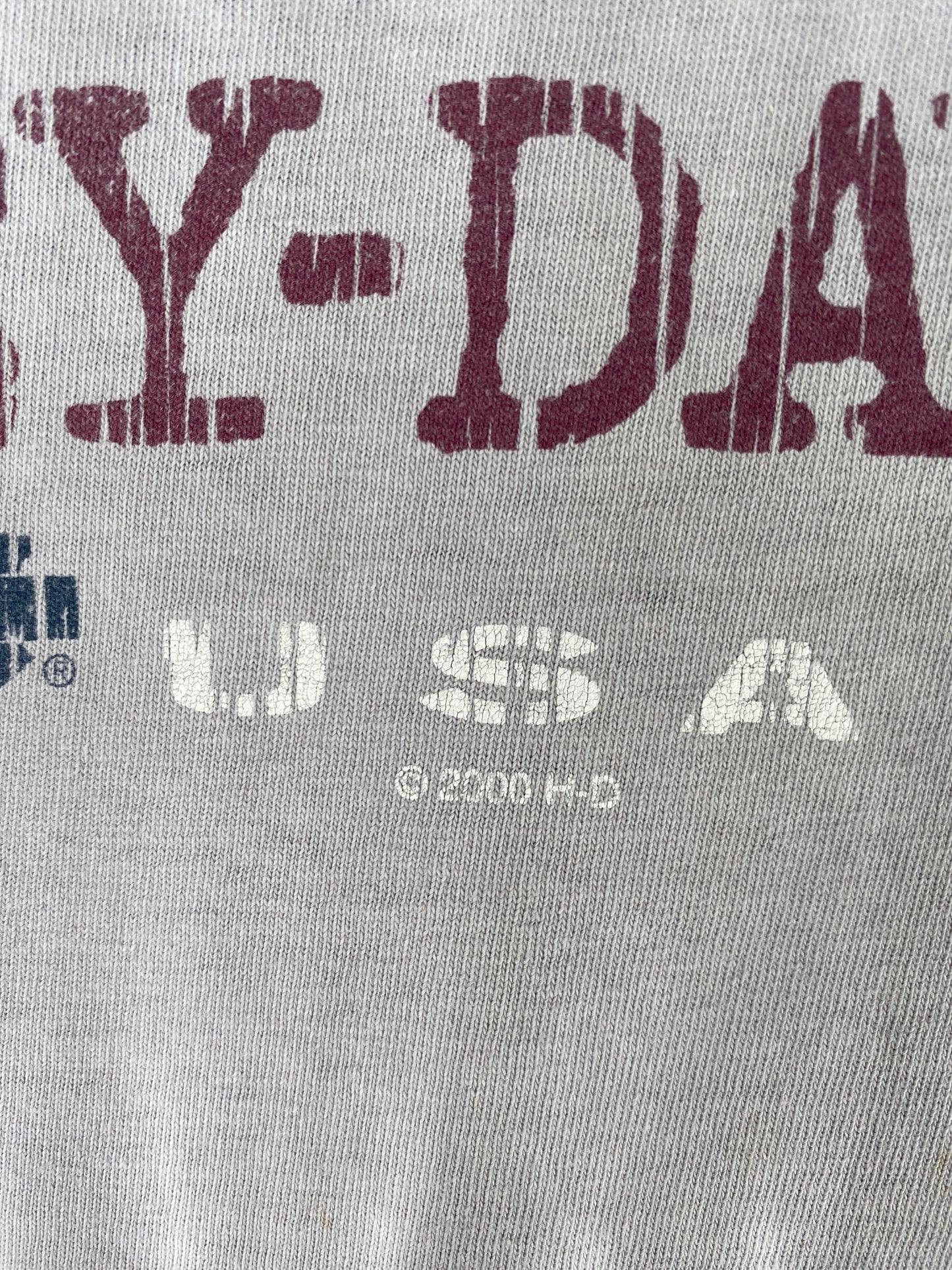 2000 HARLEY DAVIDSON Size L Vintage T-Shirt / G1184T