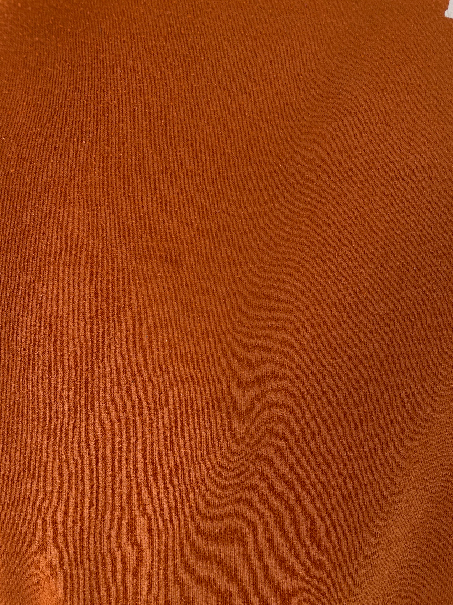 90's RUSSELL x TEXAS LONGHORNS Made in USA Size L Vintage College Sweat-shirt / E9904S