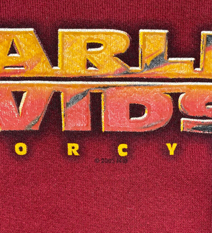 2003 Harley Davidson ERIE Size L Vintage Sweat-Shirt / 5262