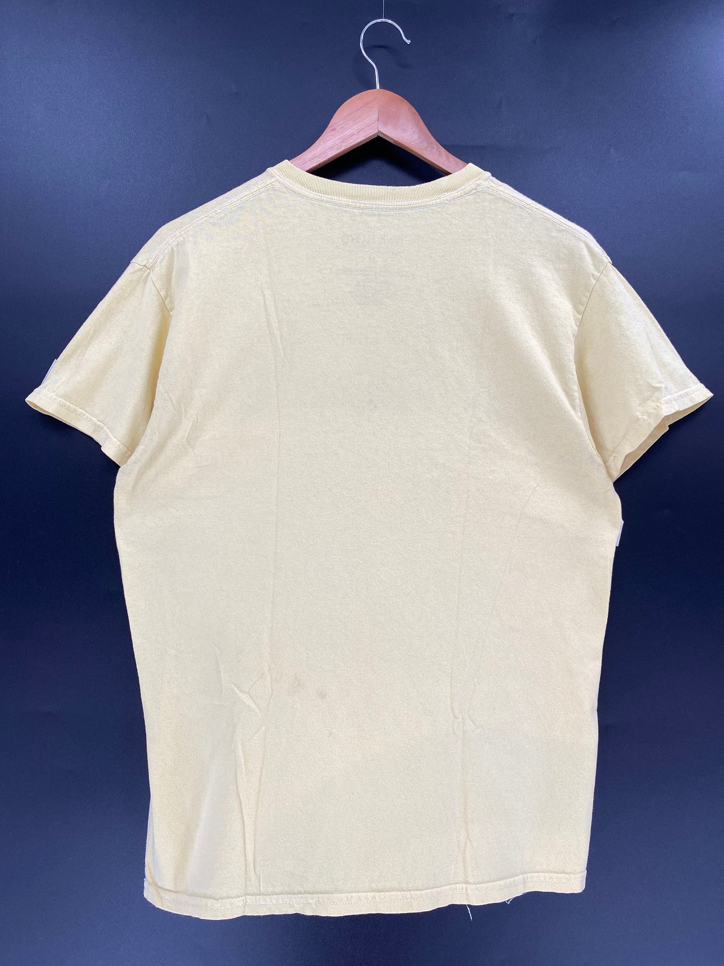 Vintage PINK FLOYD Size M T-Shirt/ A2089