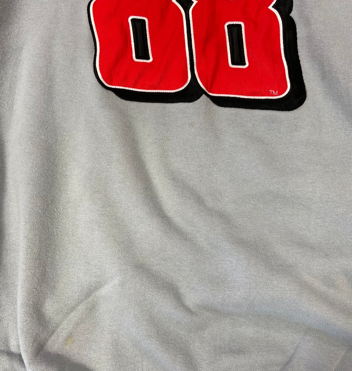 Vintage HASE Dale Jr. Racing Sweat-Shirts / 3142