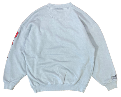 Vintage HASE Dale Jr. Racing Sweat-Shirts / 3142