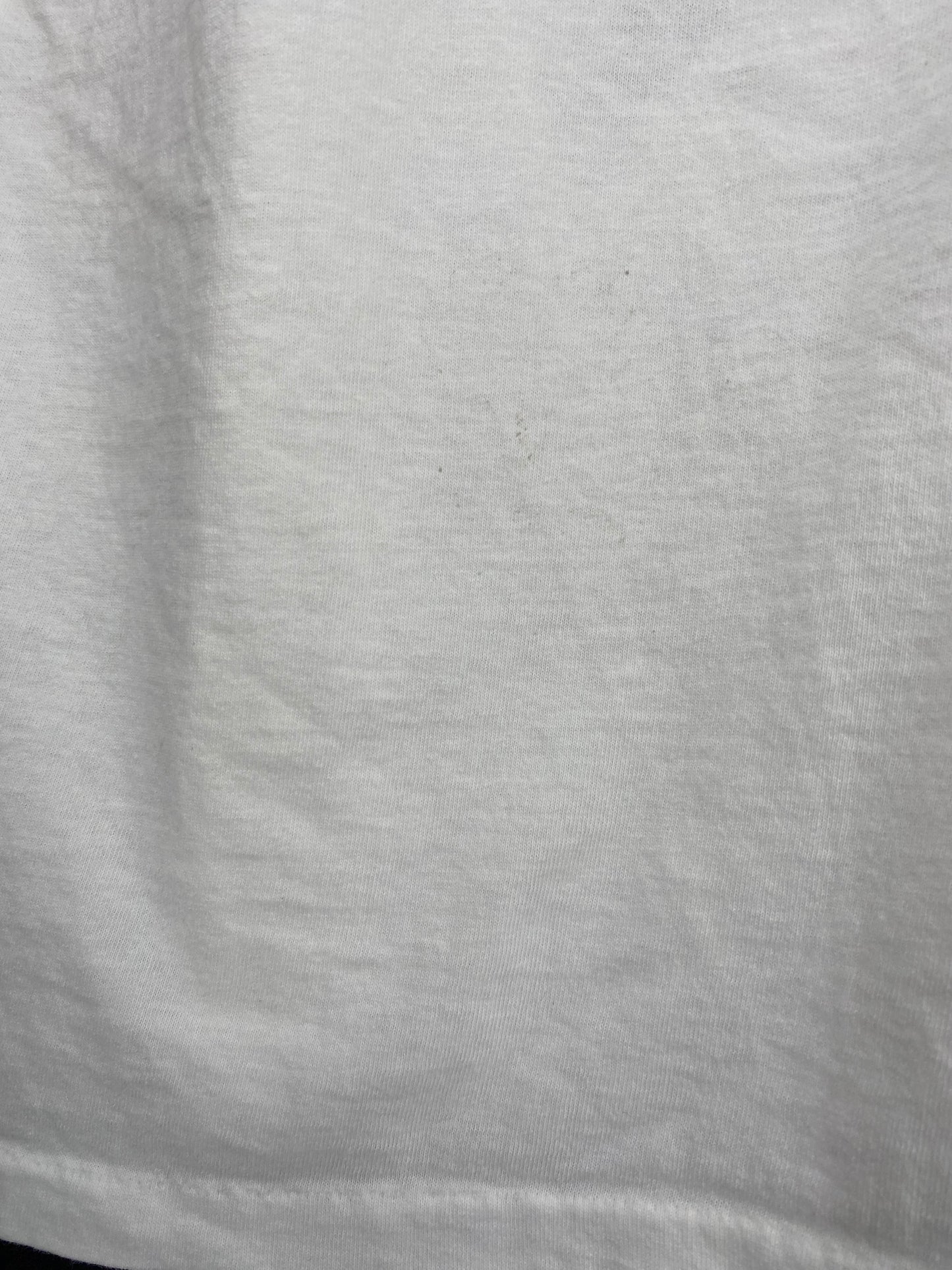 1989' THE ITACHI AIKIDO FERRET Made in USA Size L T-Shirt / K1535