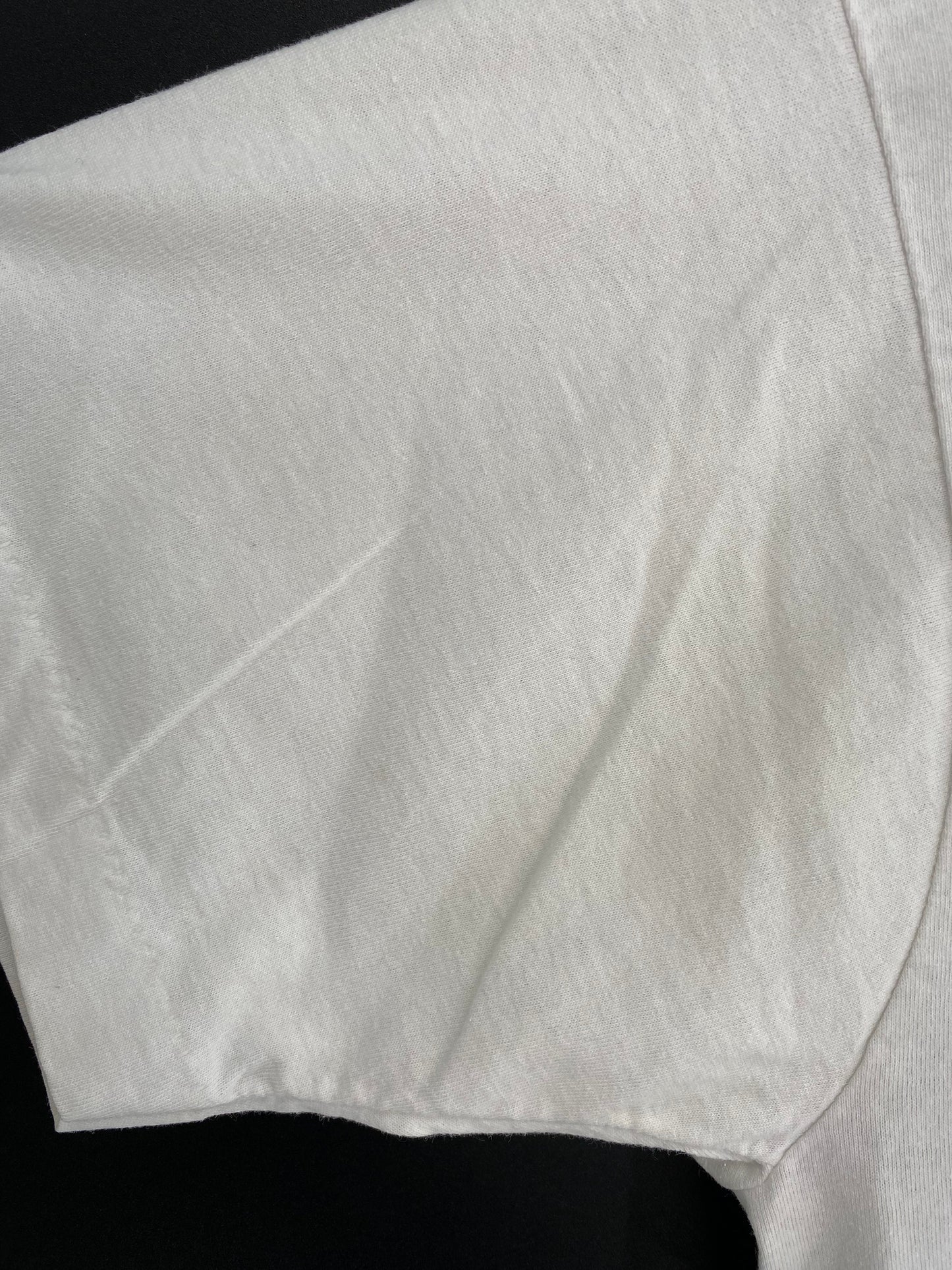 80’s PAWLEYS ISLAND Made in USA Size L  T-Shirt / A1567