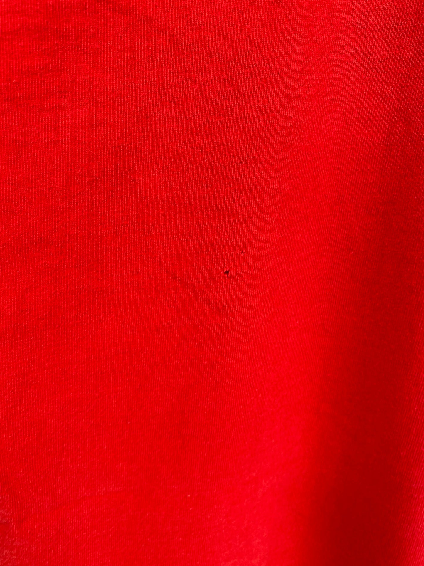 2004 BEAVIS AND BUTT HEAD Size L Vintage T-Shirt / A3787