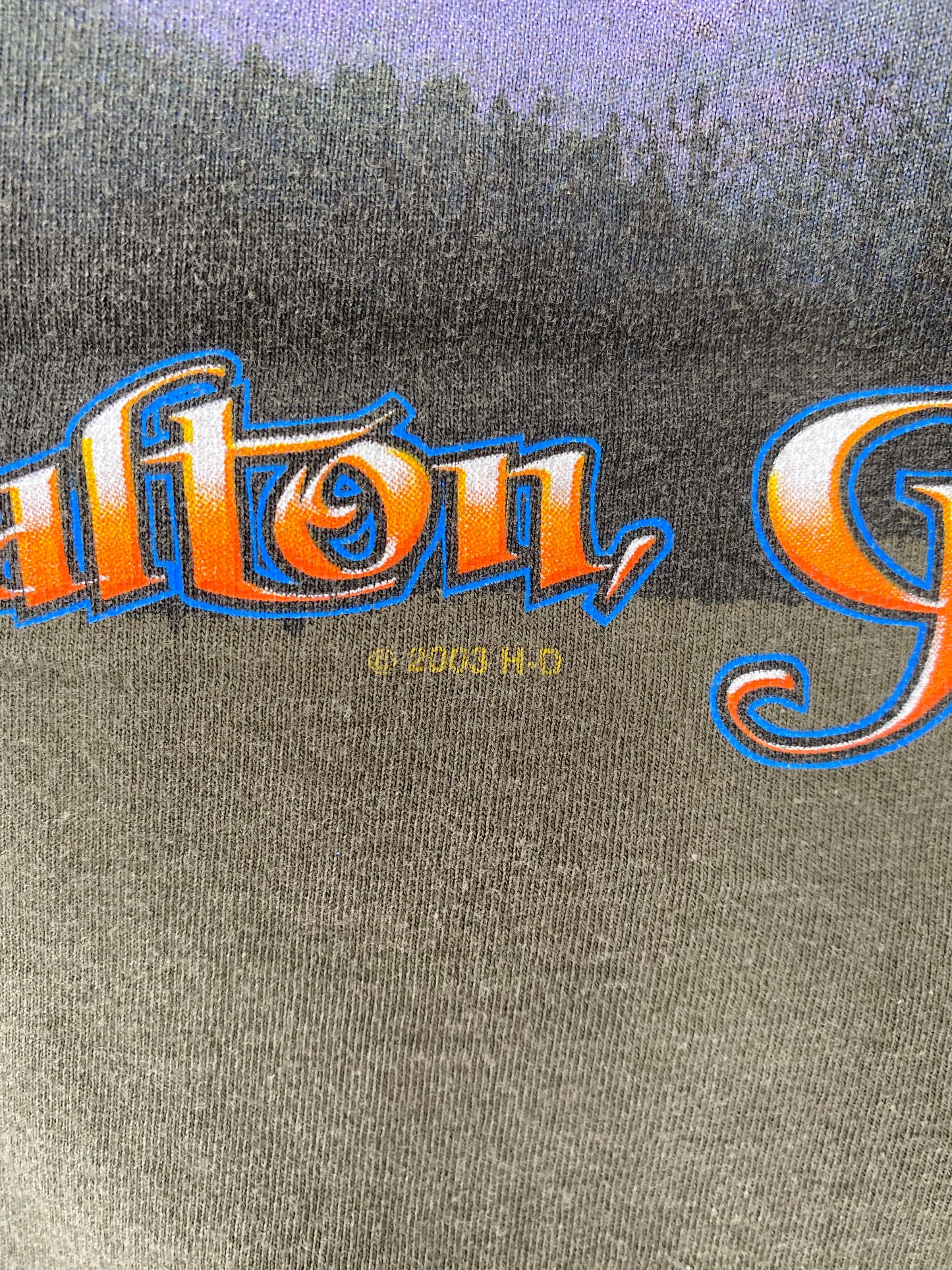 2003 HARLEY DAVIDSON Size No Tag (Approx. XXL) Vintage T-Shirt / 8289