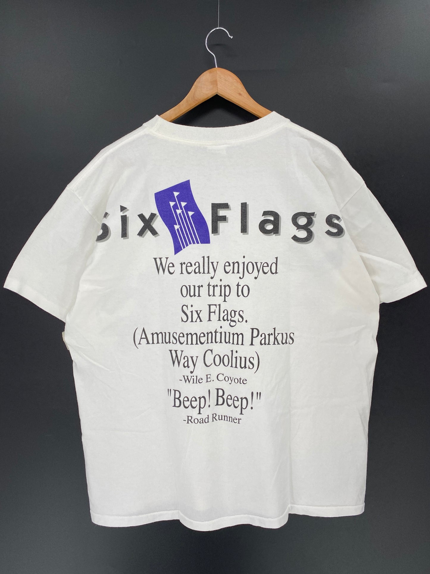 1996' Looney Tunes x Six Flags Size L / XL Vintage T-Shirt /9952
