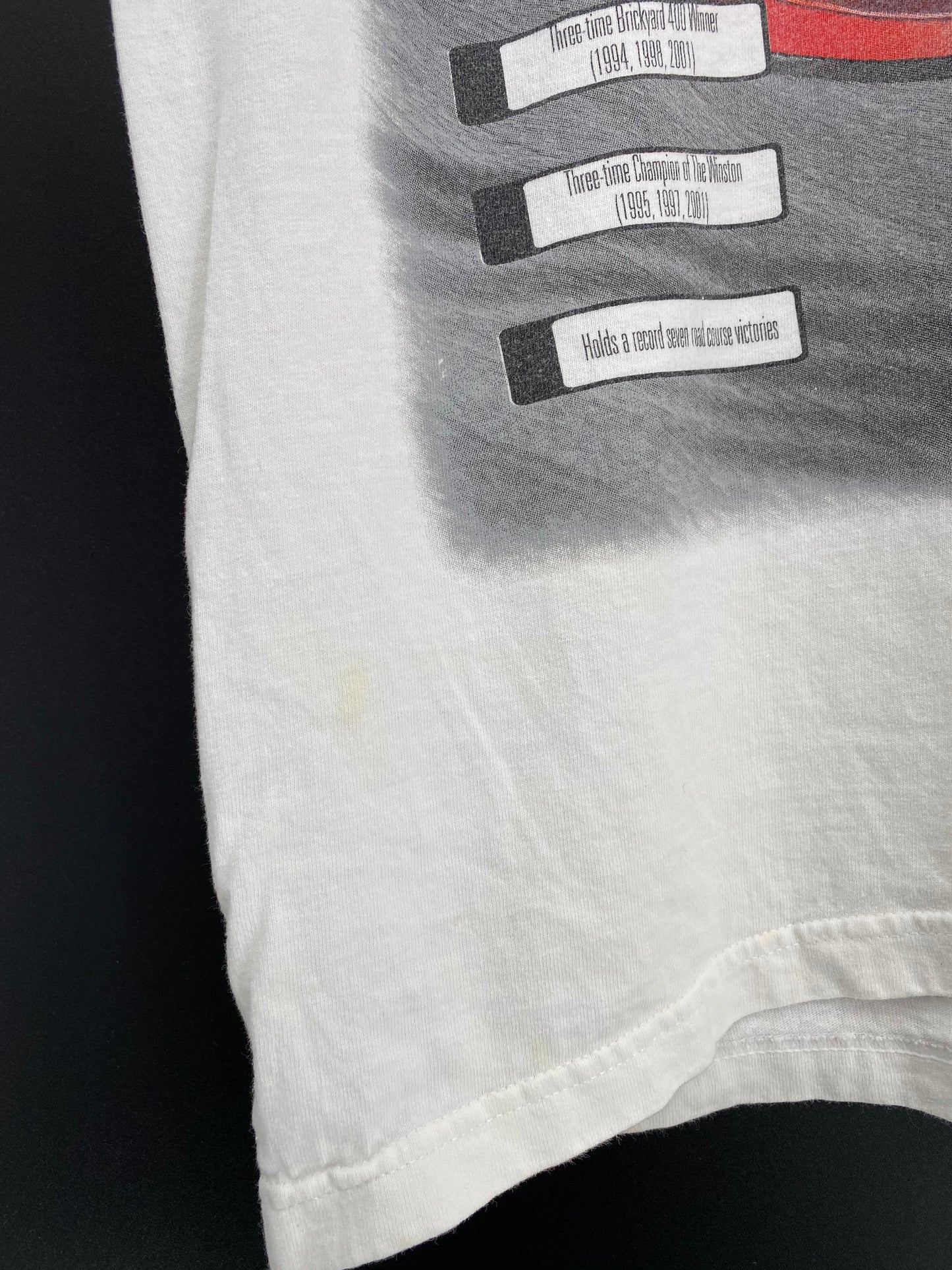 2004 JEFF GORDON Size L Vintage Racing T-Shirt / 9124