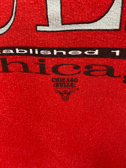 90’s CHICAGO BULLS Made in USA Size XL Vintage NBA Hoodie Sweat-Shirt / K3437