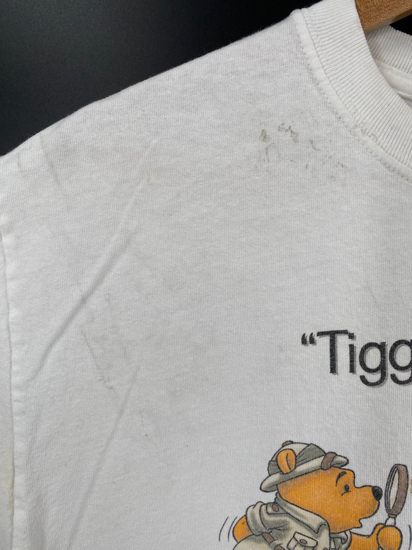 00' DISNEY ANIMAL KINGDOM Size S Vintage T-Shirts / A3145