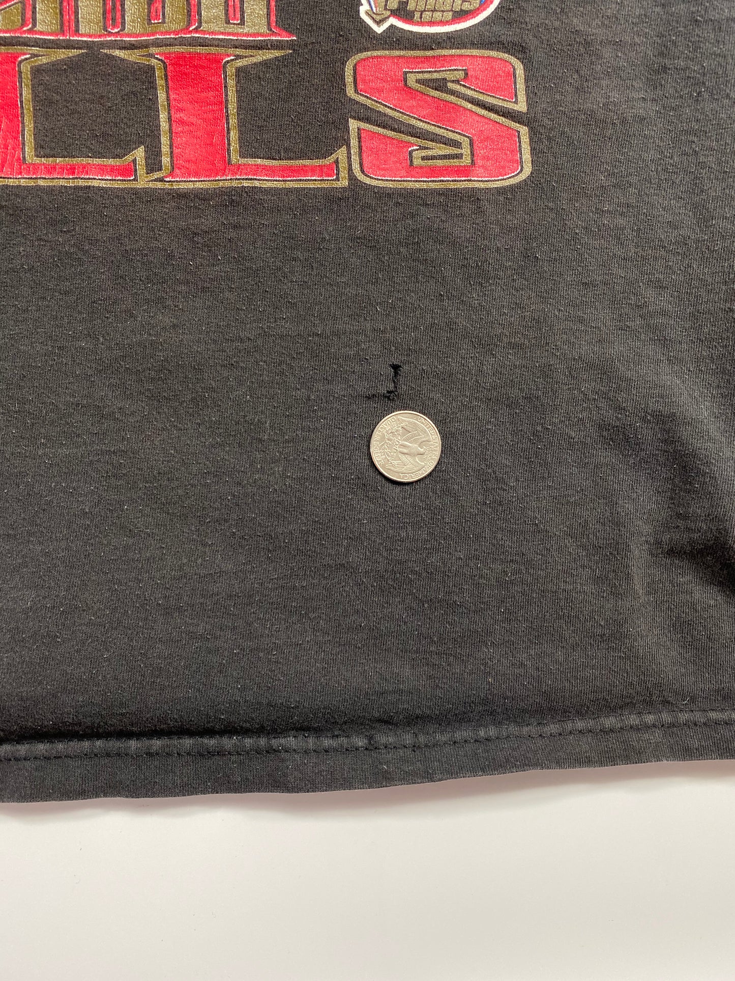 1998 NBA Champion Chicago Bulls Size L Vintage 90’s T-shirt / 7309