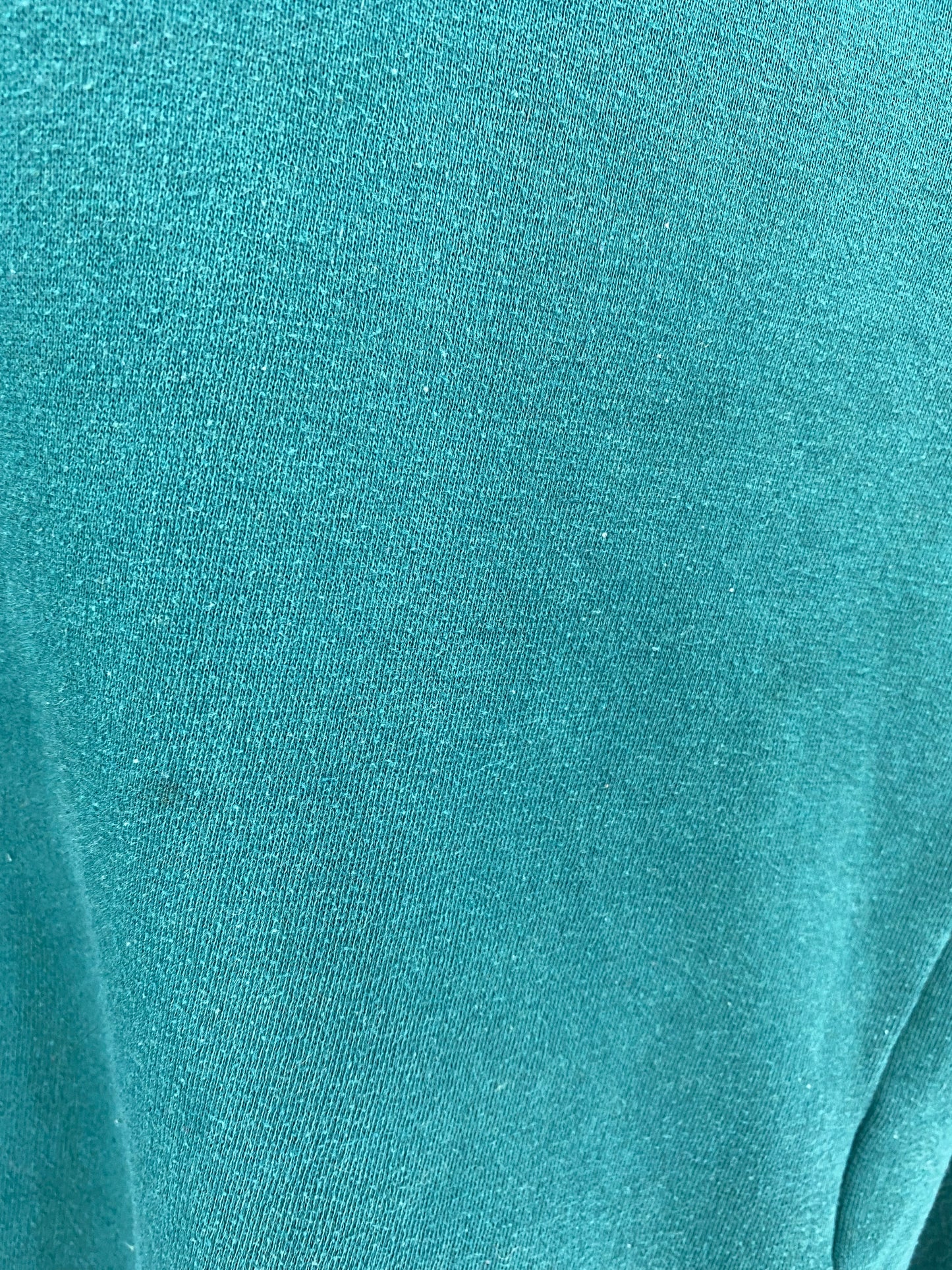 90’s STARTER PHILADELPHIA EAGLES Size L NFL Sweat shirt / K3090