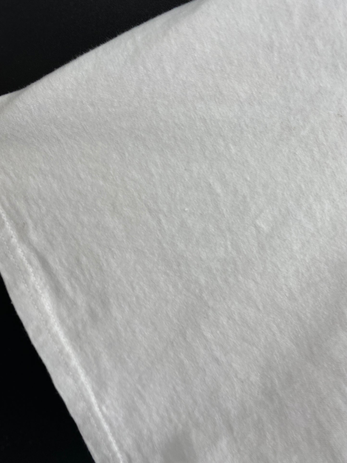 90's NIKE STEELERS Size XL Vintage NFL T-Shirt / k1558