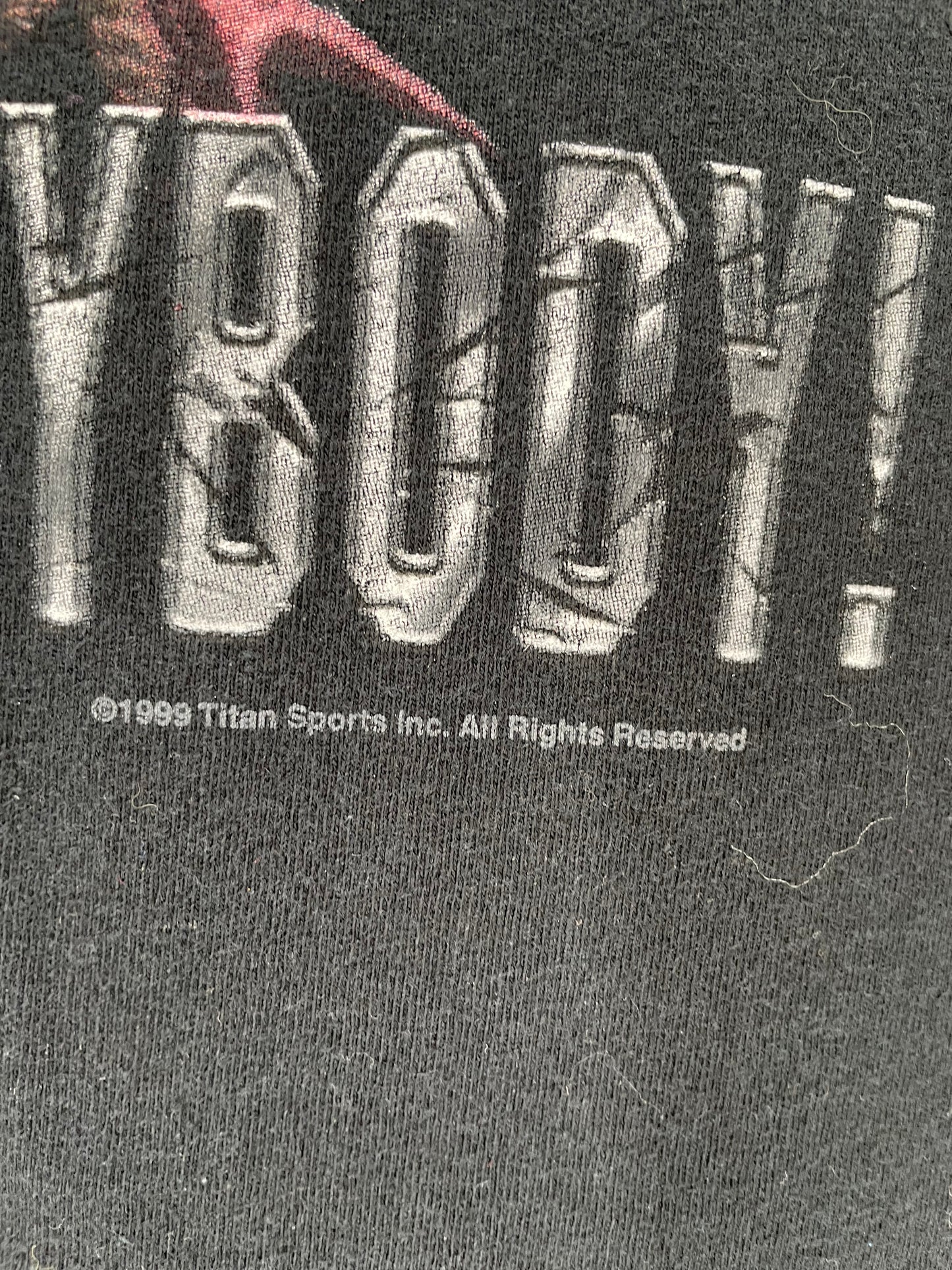 1999 WWF STONE COLD TEXAS RATTLESNAKE Size XXL Vintage WWF T-shirt / K744