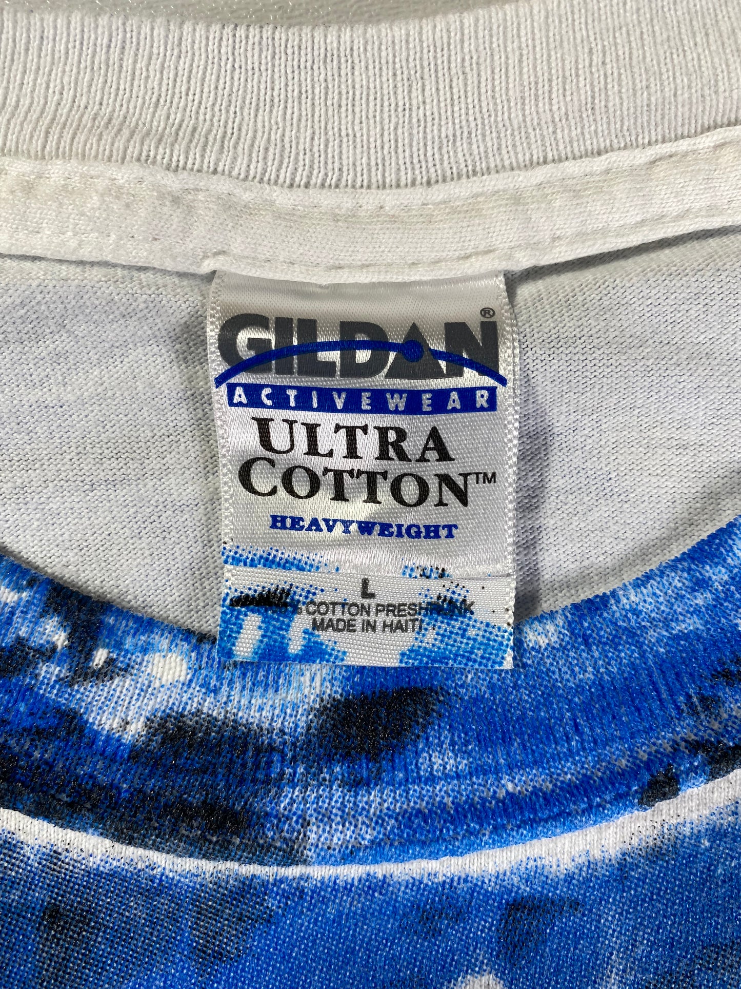 2005 NASCAR DOVER INTERNATIONAL SPEEDWAY Size L Vintage Racing T-Shirt / A3044