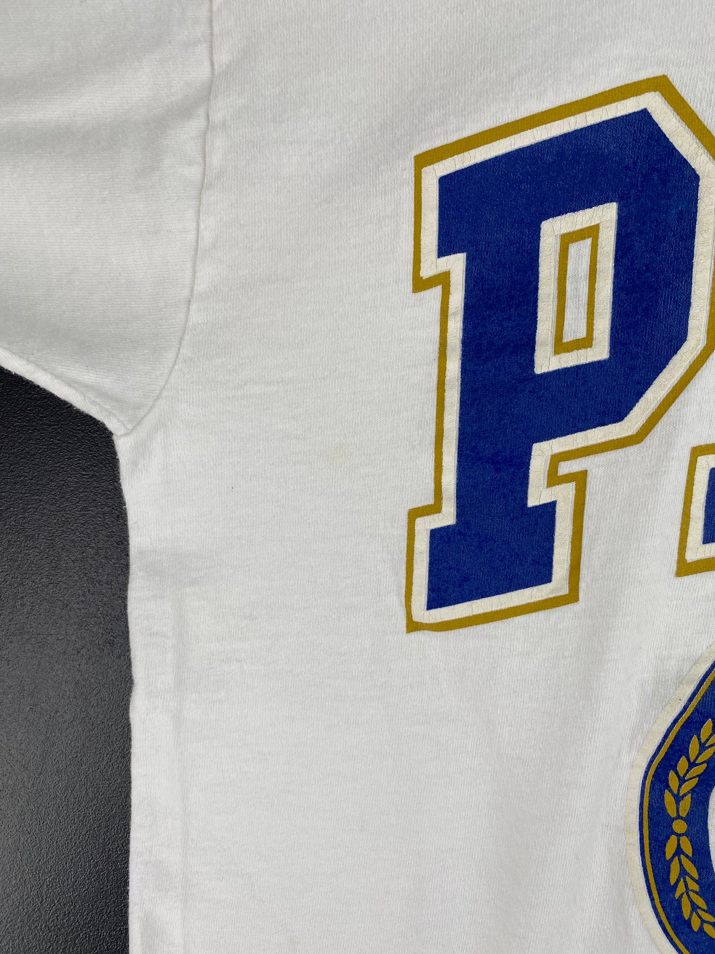 90's UNIVERSITY OF PITTSBURGH Size L Vintage College T-Shirt / A3107