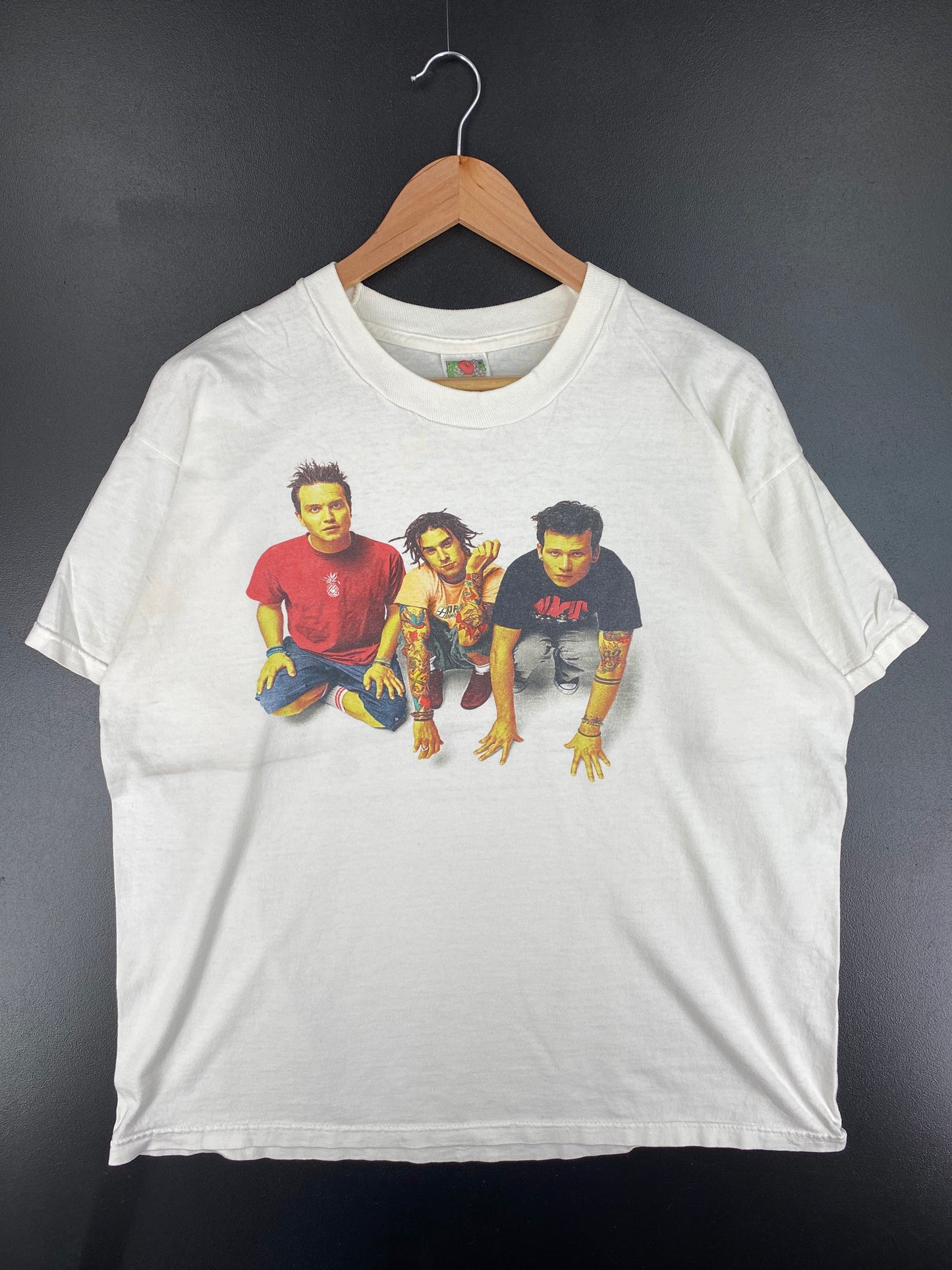 2000 BLINK 182 Size XL Vintage Music T-Shirt / A2062