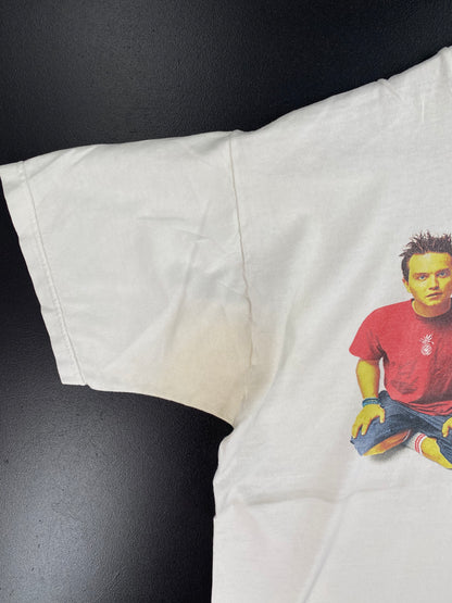 2000 BLINK 182 Size XL Vintage Music T-Shirt / A2062