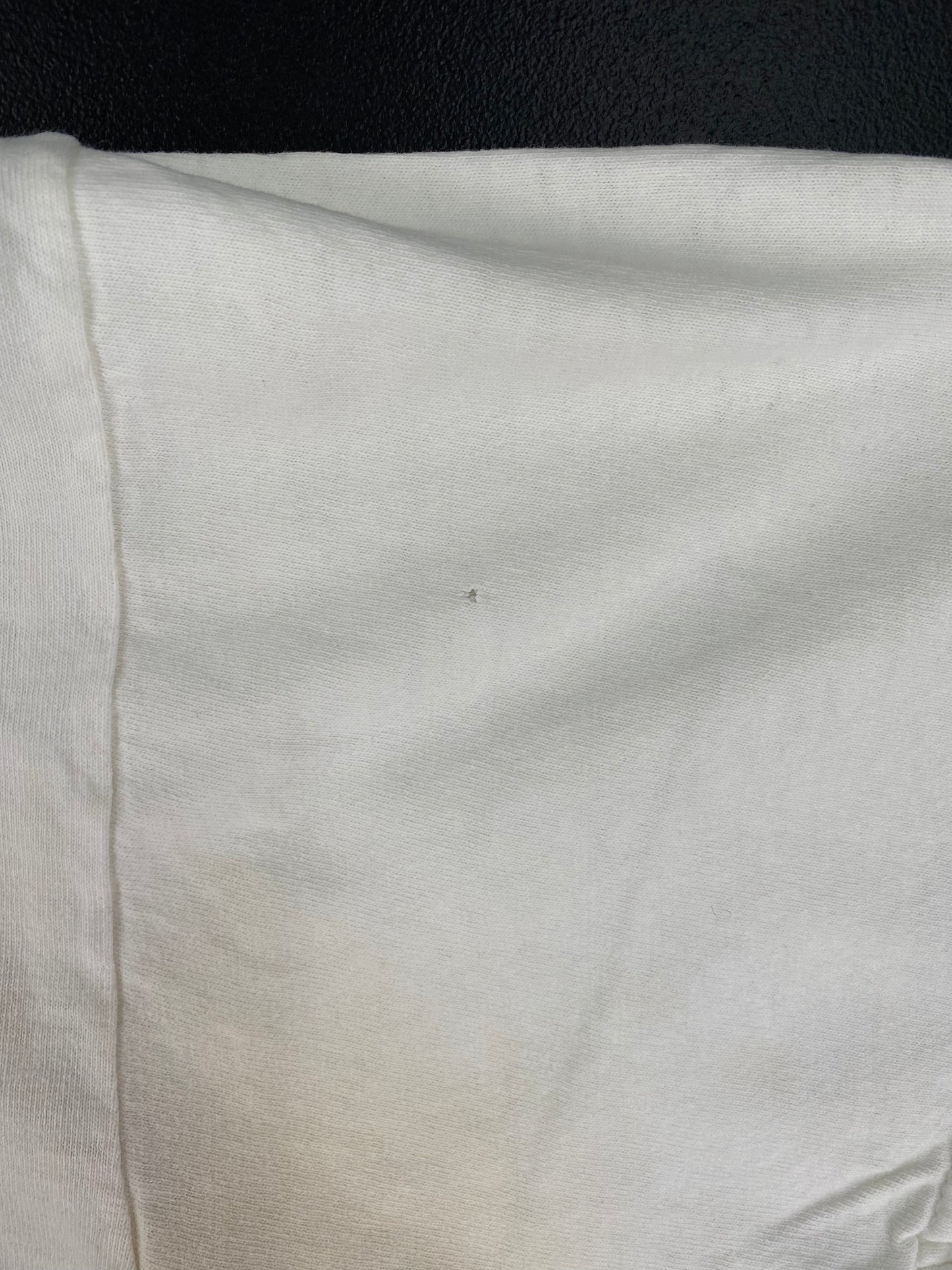 2000 BLINK 182 Size XL Vintage Music T-Shirt / A2062