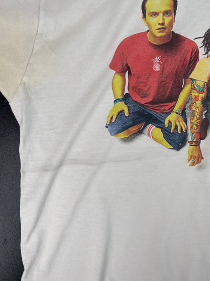 2000 BLINK 182 Size XL Vintage Music T-Shirt / A2062