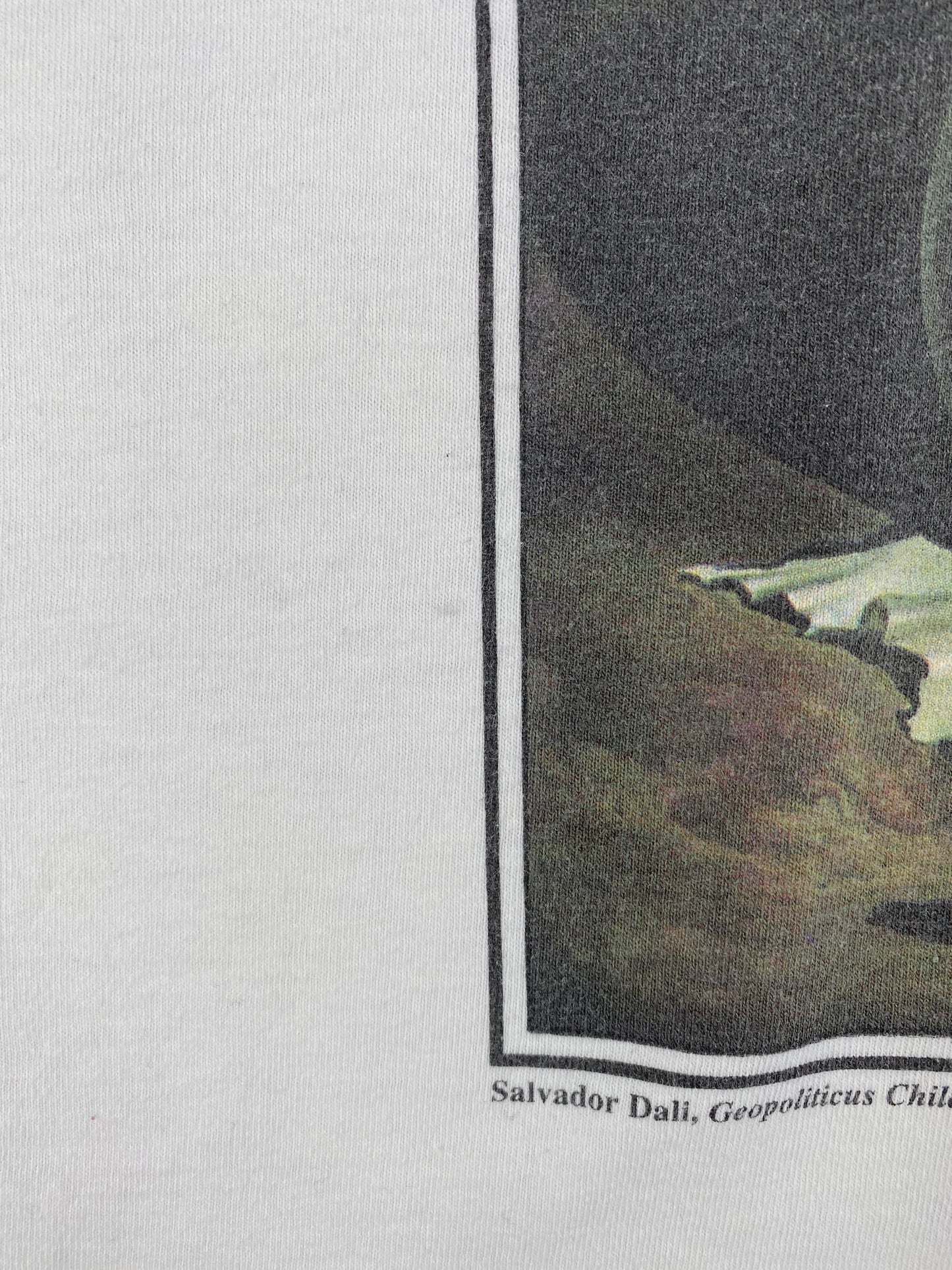 Vintage Salvador Dali MEN Size XL Vintage Art T-Shirt / A2073