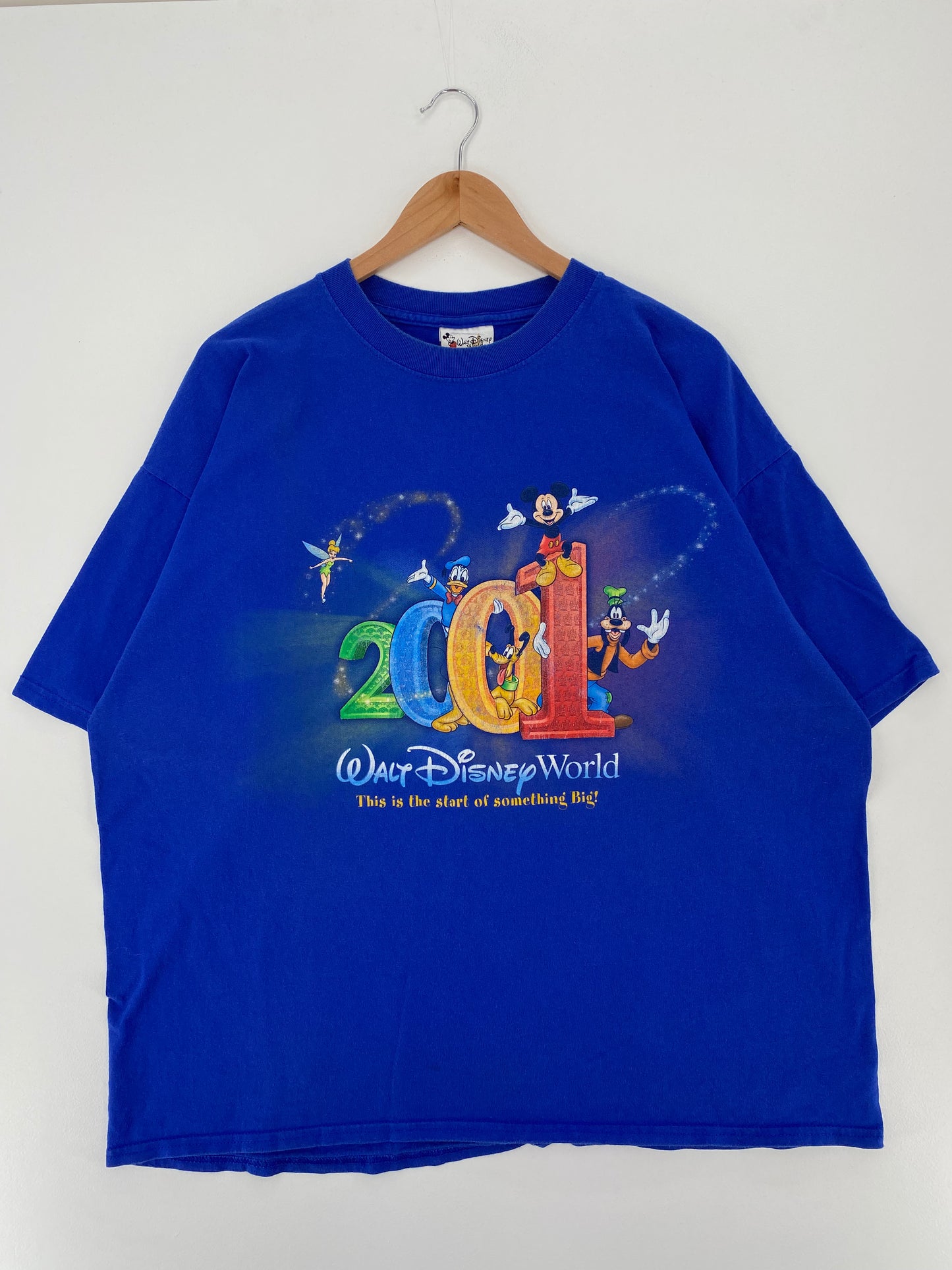 2001 WALT DISNEY EORLD Size XL Vintage T-Shirt / A2075