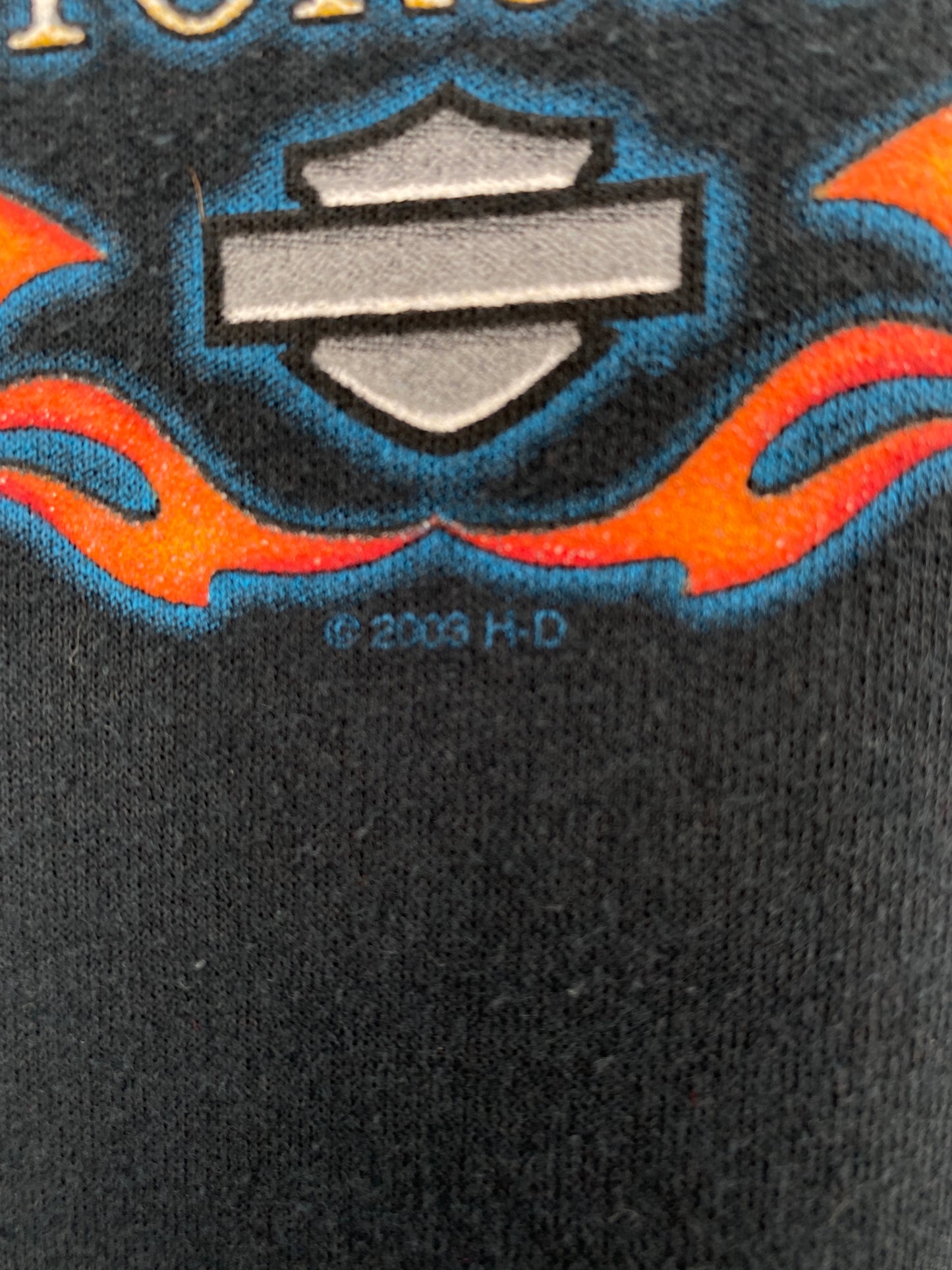 2003 HARLEY DAVIDSON Size XXXL Vintage Hoodie Sweat-Shirts / A6689