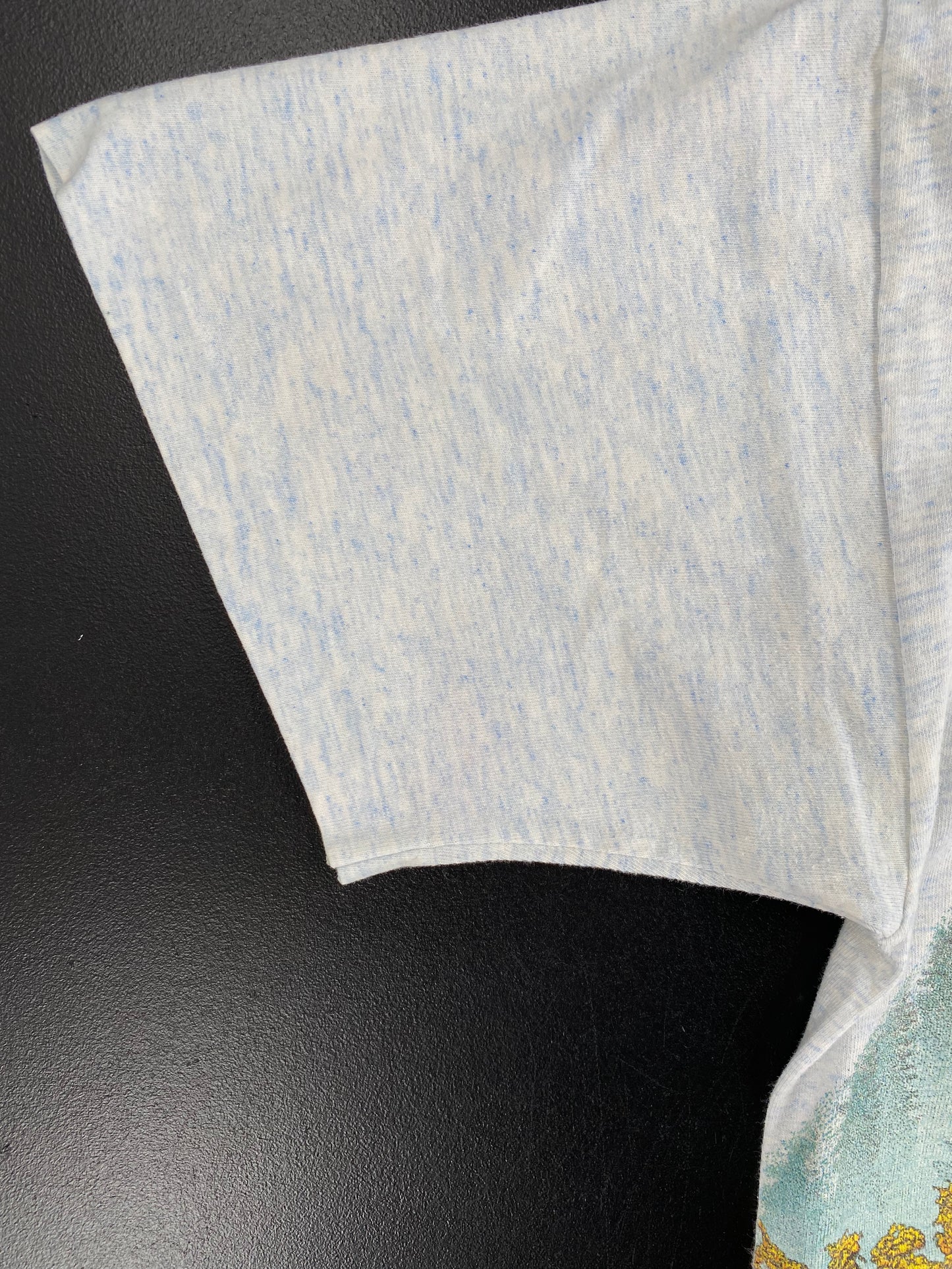 90's GREAT SMOKY MOUNTAINS Made in USA Size L Vintage T-Shirt / A2617