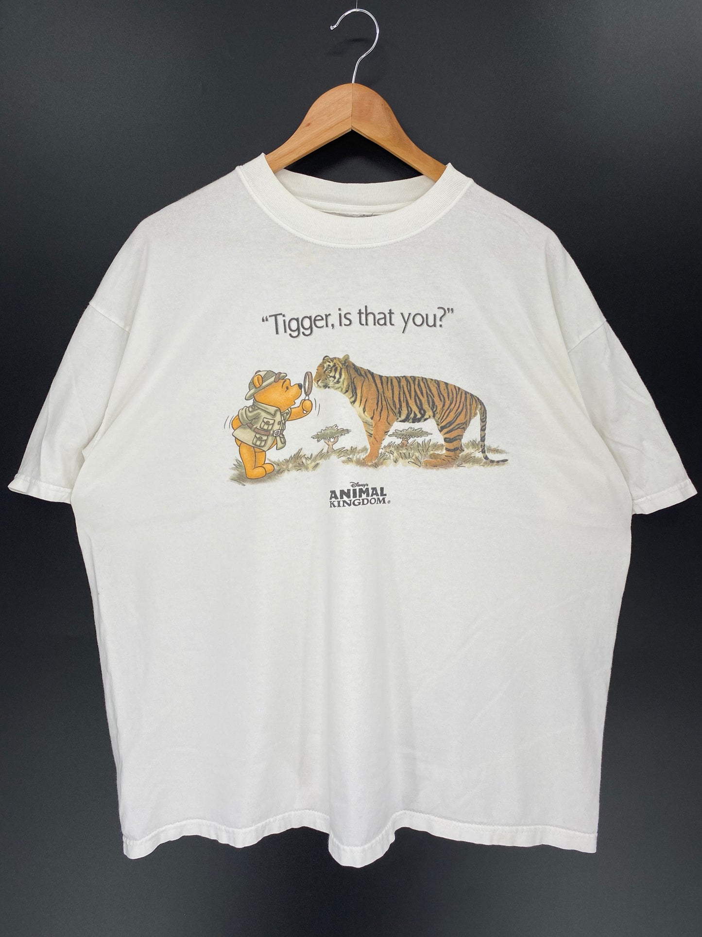00' DISNEY POOH ANIMAL KINGDOM Size No Tag (Approx. XL) Vintage T-shirt / 9441
