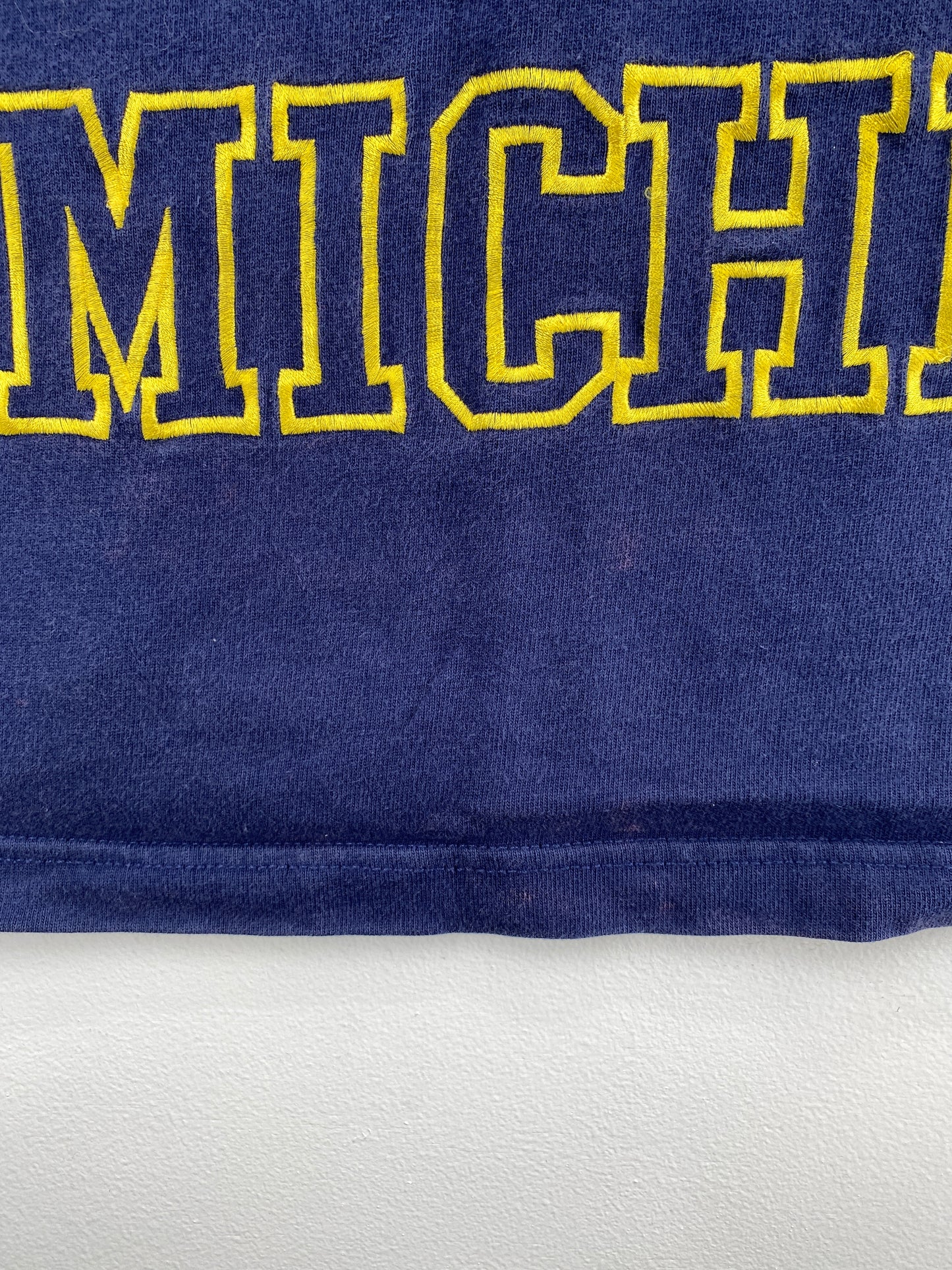 90’s NIKE MICHIGAN Size L Vintage College T-Shirt / A4616