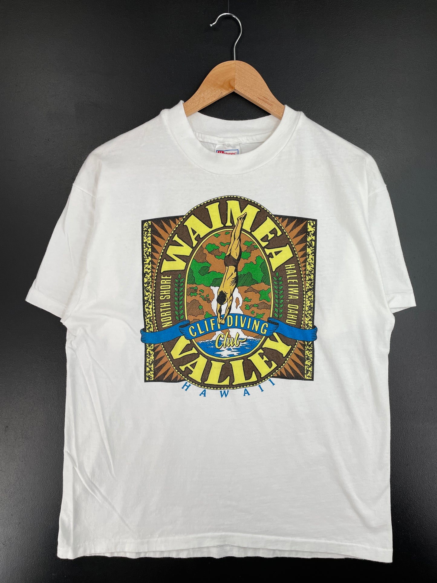 90's WAIMEA VALLEY HAWAII Made in USA Size L Vintage T-shirt / E5015T