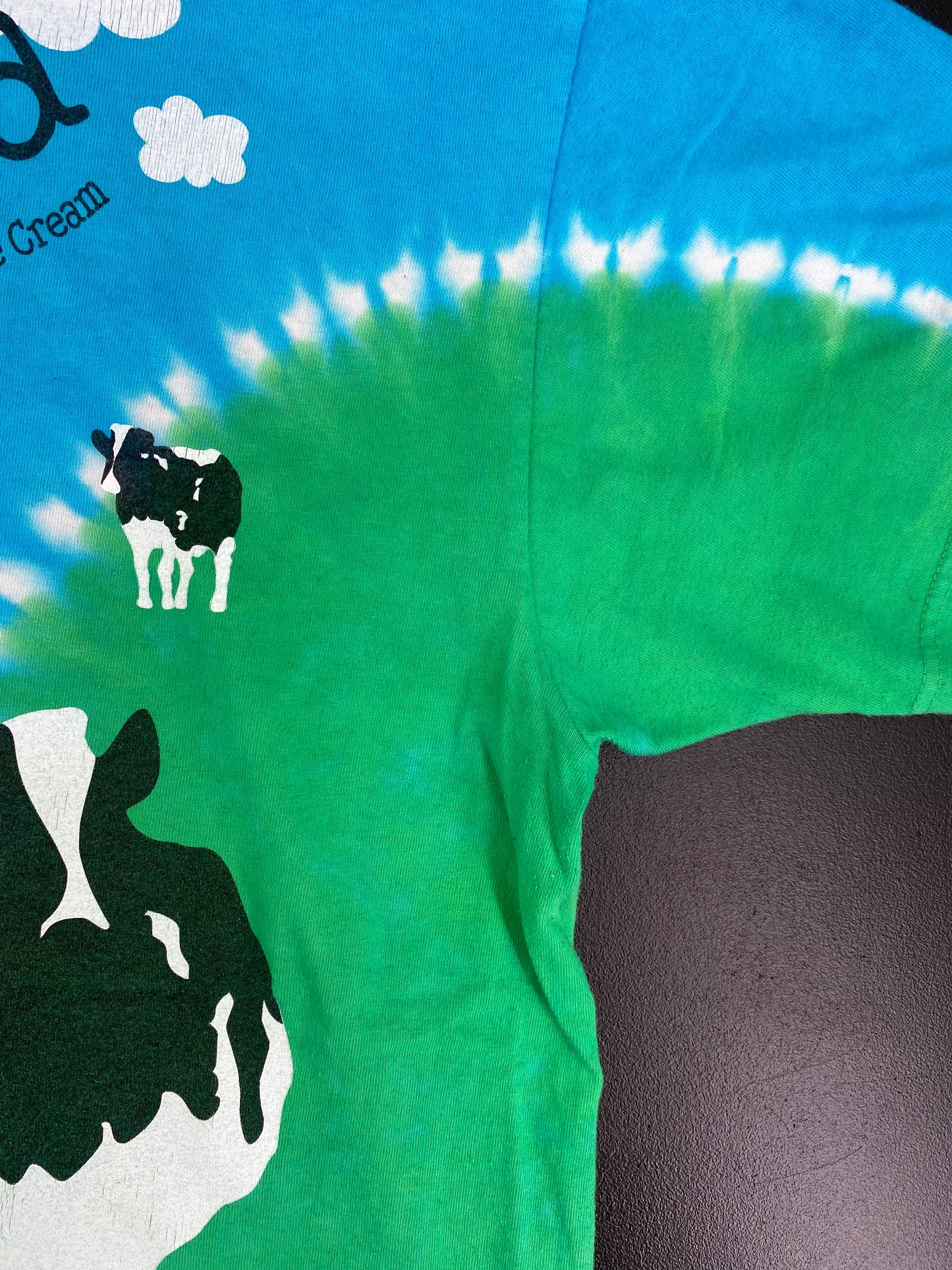 90’s LIQUID BLUE x BEN & JERRY'S Size XL Vintage T-Shirt / A1918