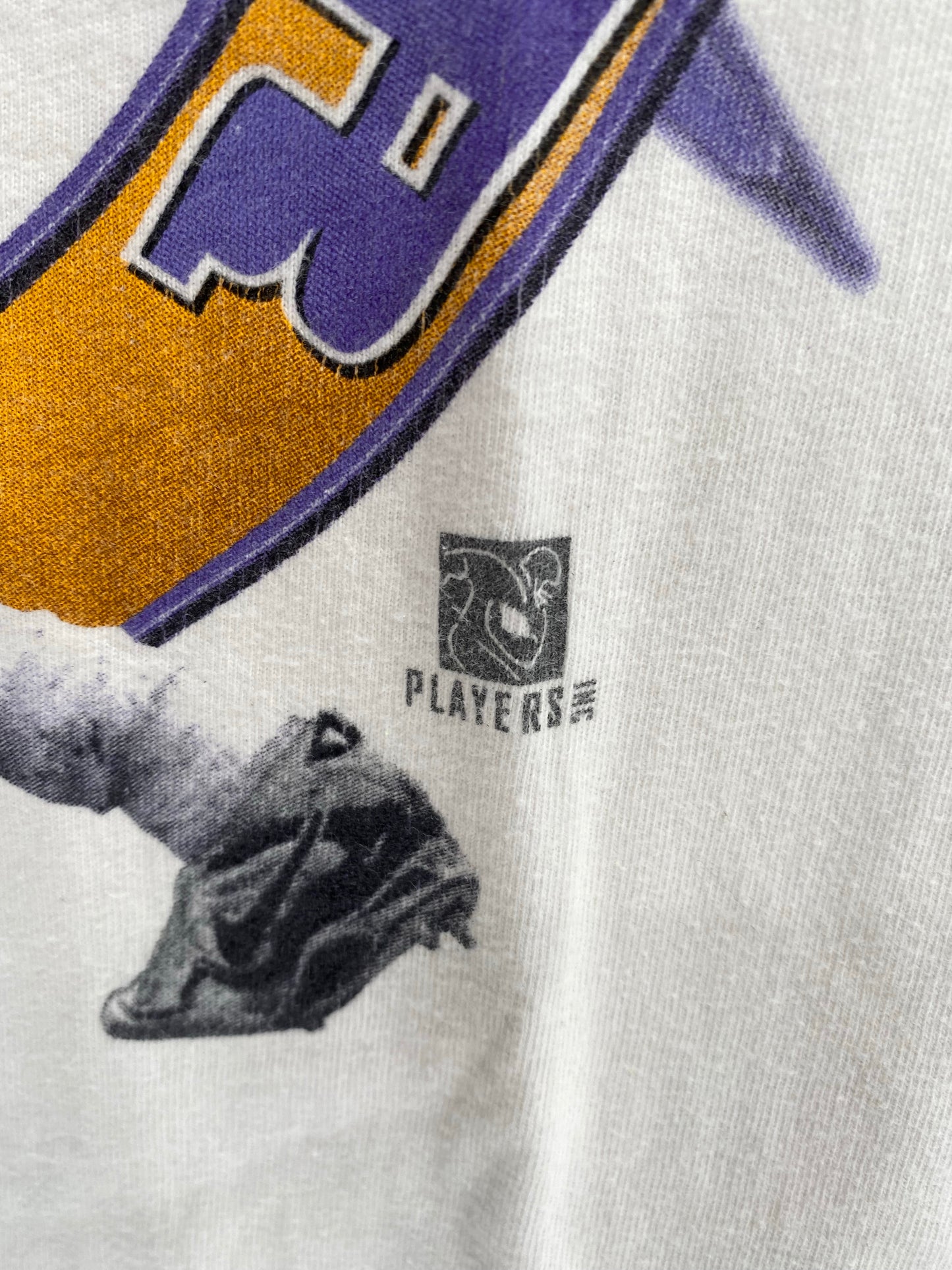 90’s STARTER x VIKINGS CRIS GARTER Size XXL Vintage NFL T-Shirts / K4884