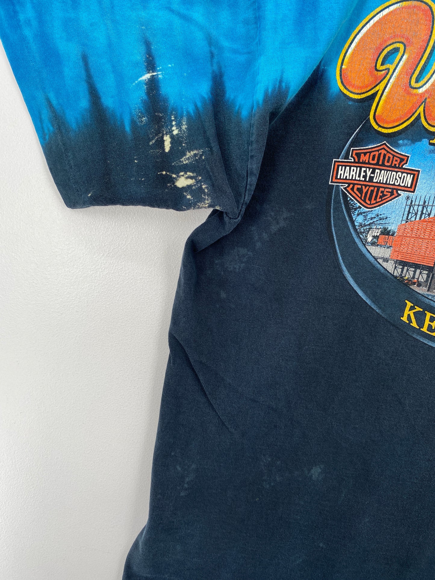 2005 HARLEY DAVIDSON WISCONSIN Made in USA Size M Vintage T-shirt / A7916