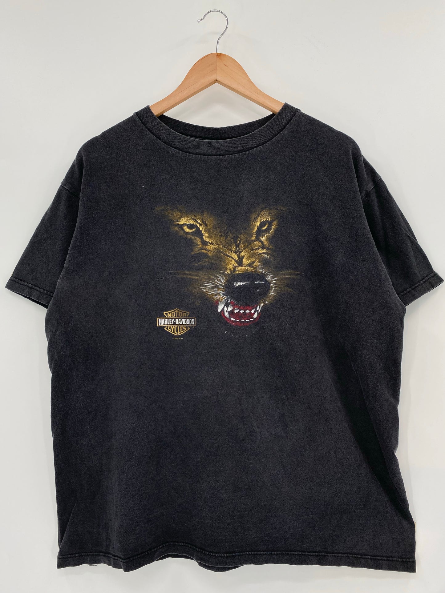 2002 Harley Davidson Made in USA Size XL Vintage T-Shirt / K6620