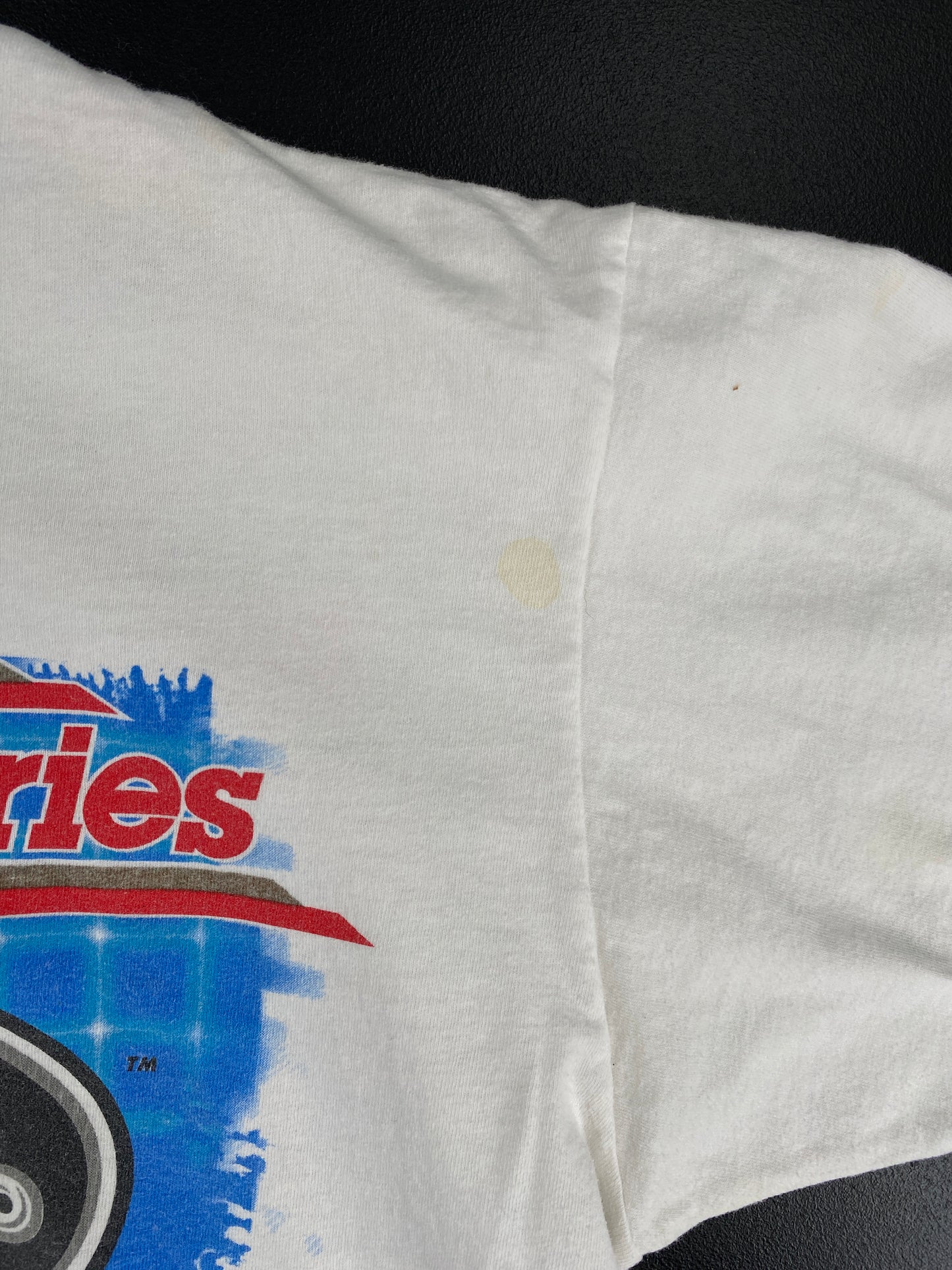 2000 NASCAR WINSTON CUP SERIES Size XXL Vintage Racing T-Shirt / E6144T