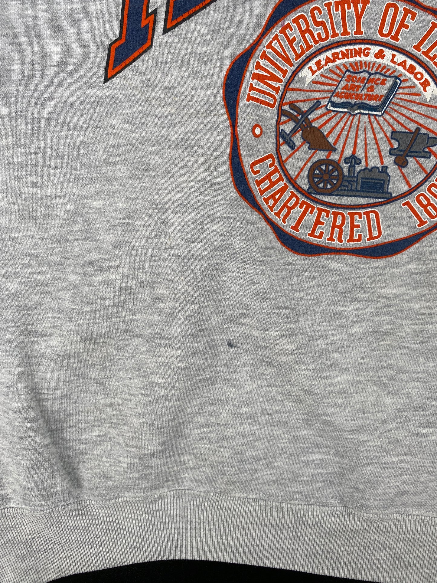 90's ILLINOIS Size L Vintage College Sweat-shirt / A4326