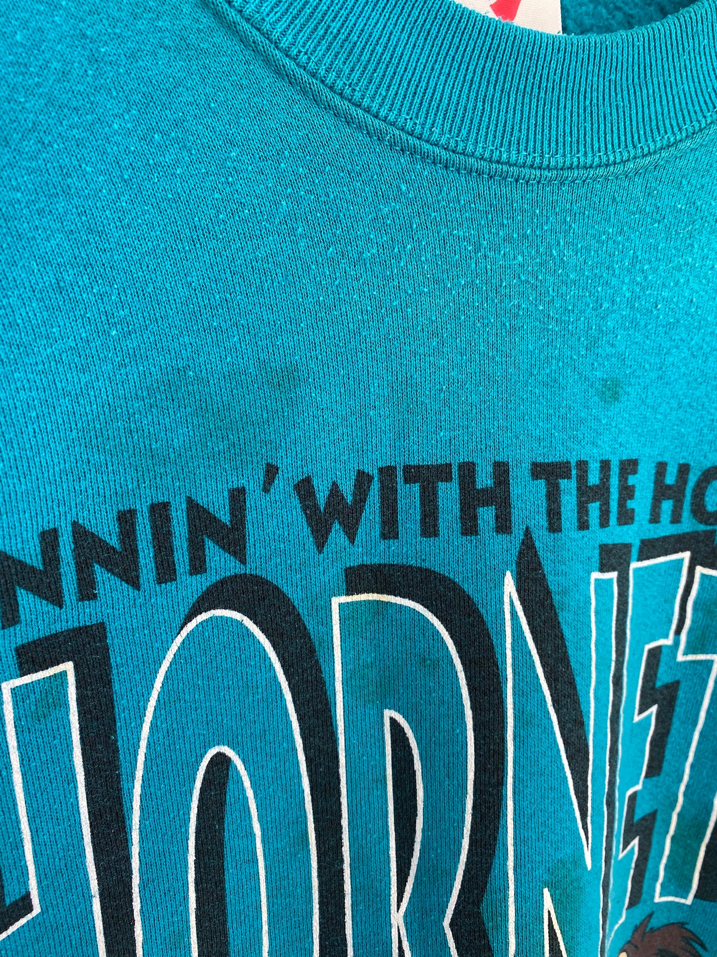 1993' NORTH CAROLINA CHARLOTTE HORNETS Made in USA Size XL Vintage NBA Sweat-shirt / K6153