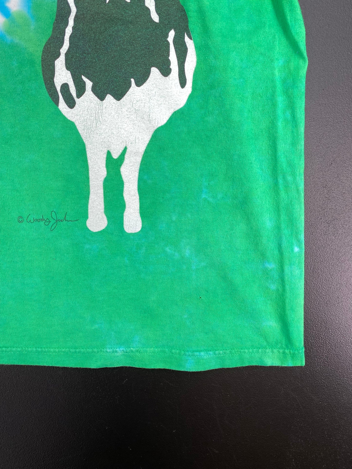 90’s LIQUID BLUE x BEN & JERRY'S Size XL Vintage T-Shirt / A1918