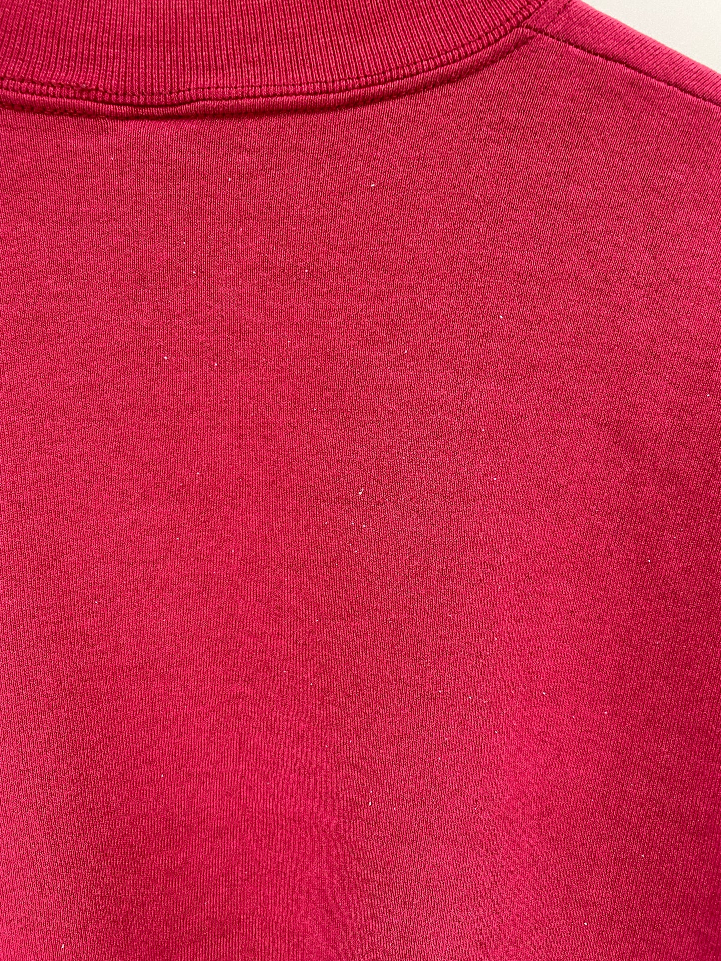 90's UNIVERSITY OF SOUTH CAROLINA Made in USA Size L Vintage Sweat - Shirt/ K6541