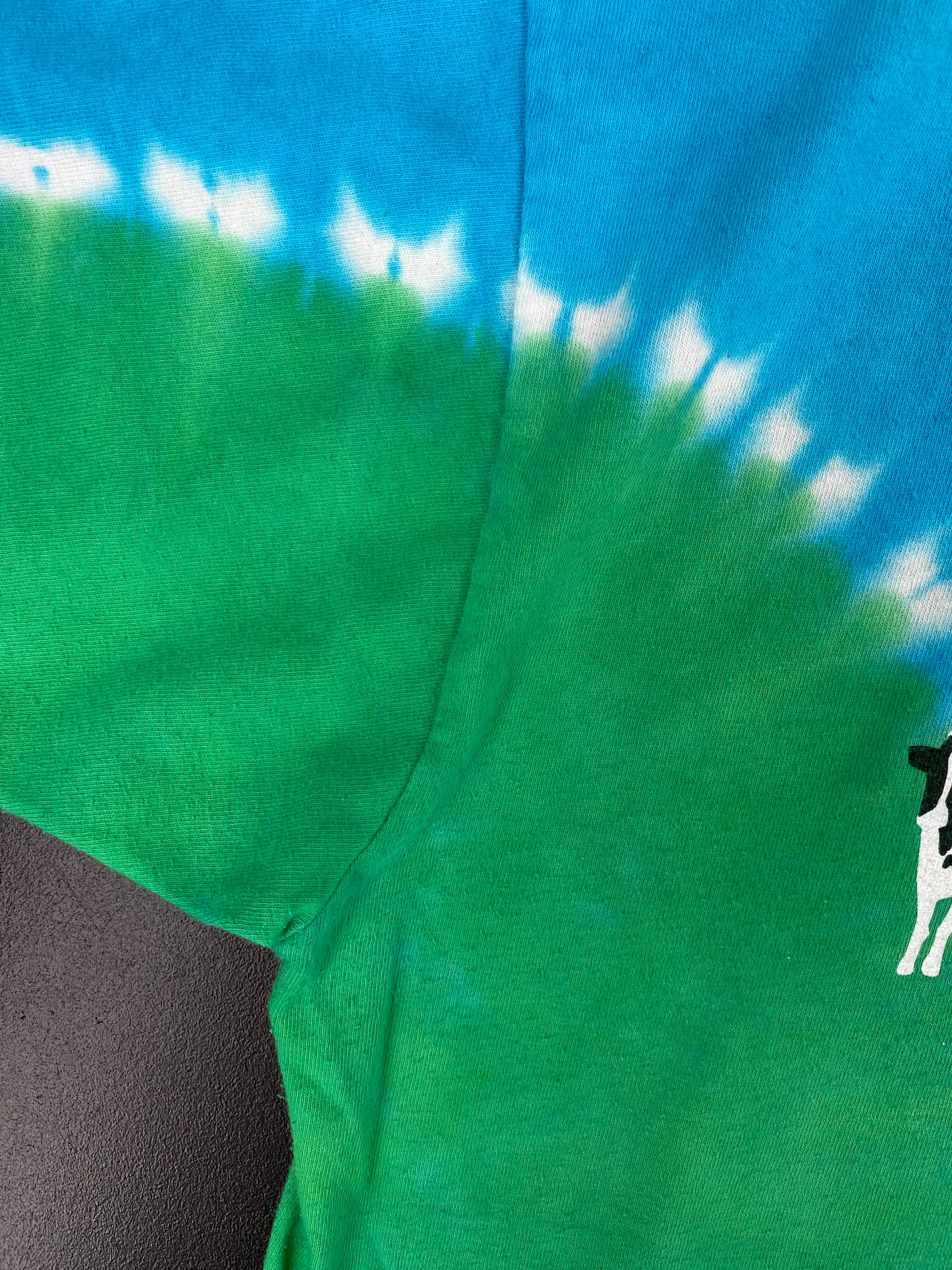 90’s LIQUID BLUE x BEN & JERRY'S Size XL Vintage T-Shirt / A1918