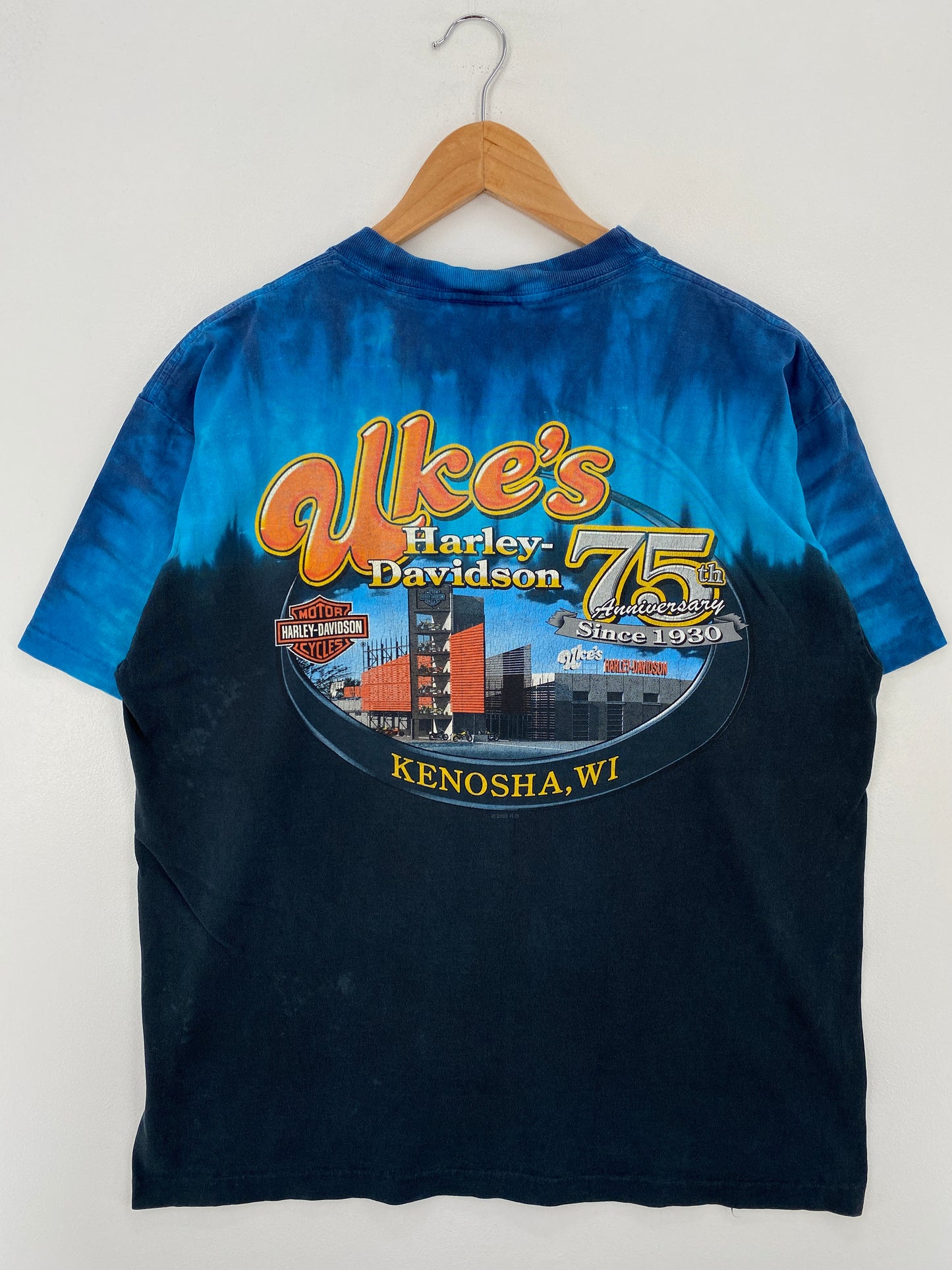 2005 HARLEY DAVIDSON WISCONSIN Made in USA Size M Vintage T-shirt / A7916