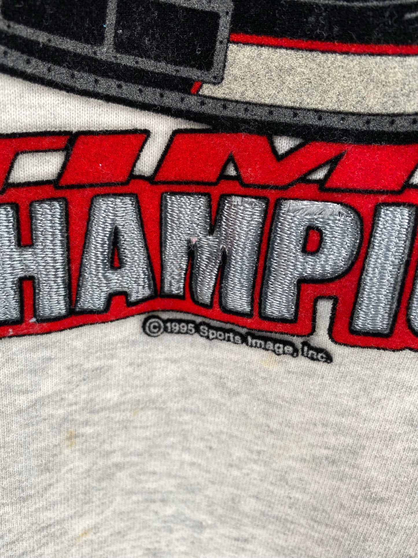 1995 DALE EARNHARDT No tag (Approx.Size XXL) Vintage Racing Sweat-shirt  / K5359