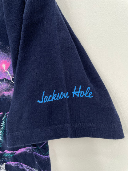 90's JACKSON HOLE Made in USA Size L Vintage T-Shirt / A7708