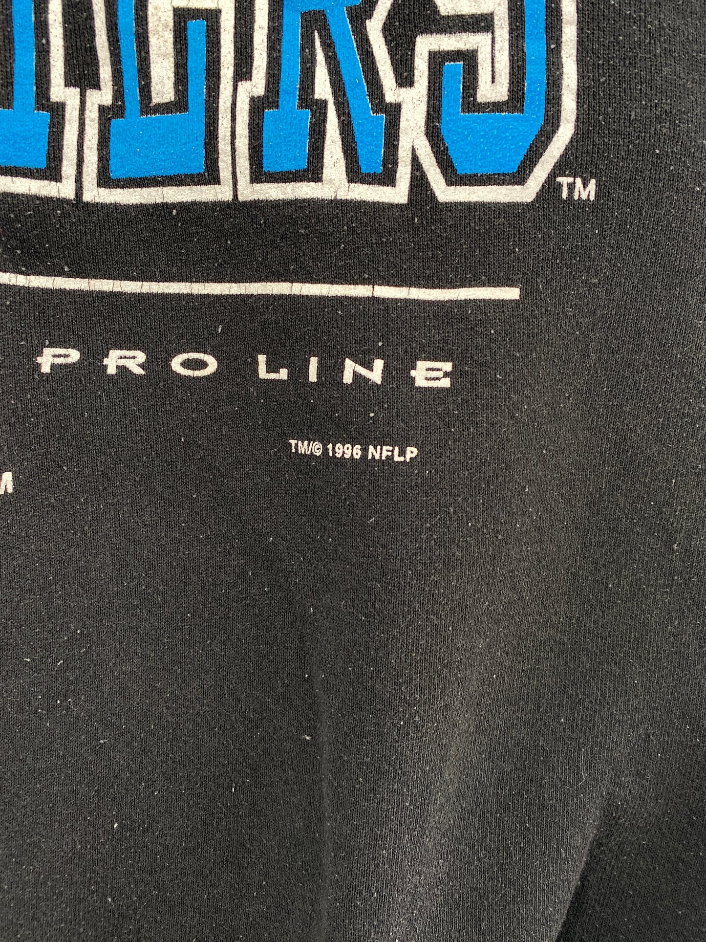 1996 CAROLINA PANTHERS Size L Vintage NFL Sweat-shirt / E317