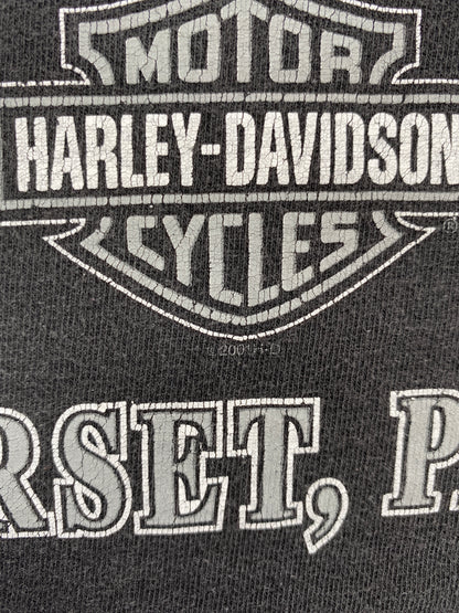 2001 HARLEY DAVIDSON PENNSYLVANIA Size M Vintage T-shirt / A7915