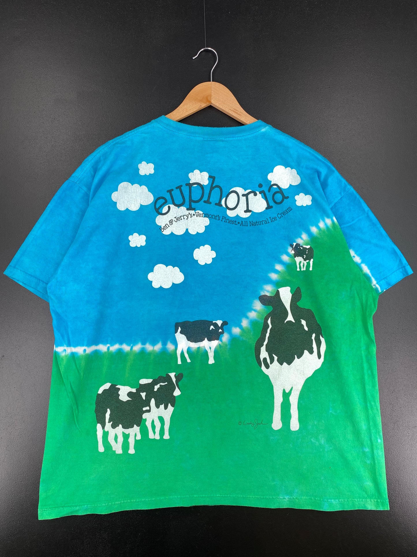 90’s LIQUID BLUE x BEN & JERRY'S Size XL Vintage T-Shirt / A1918